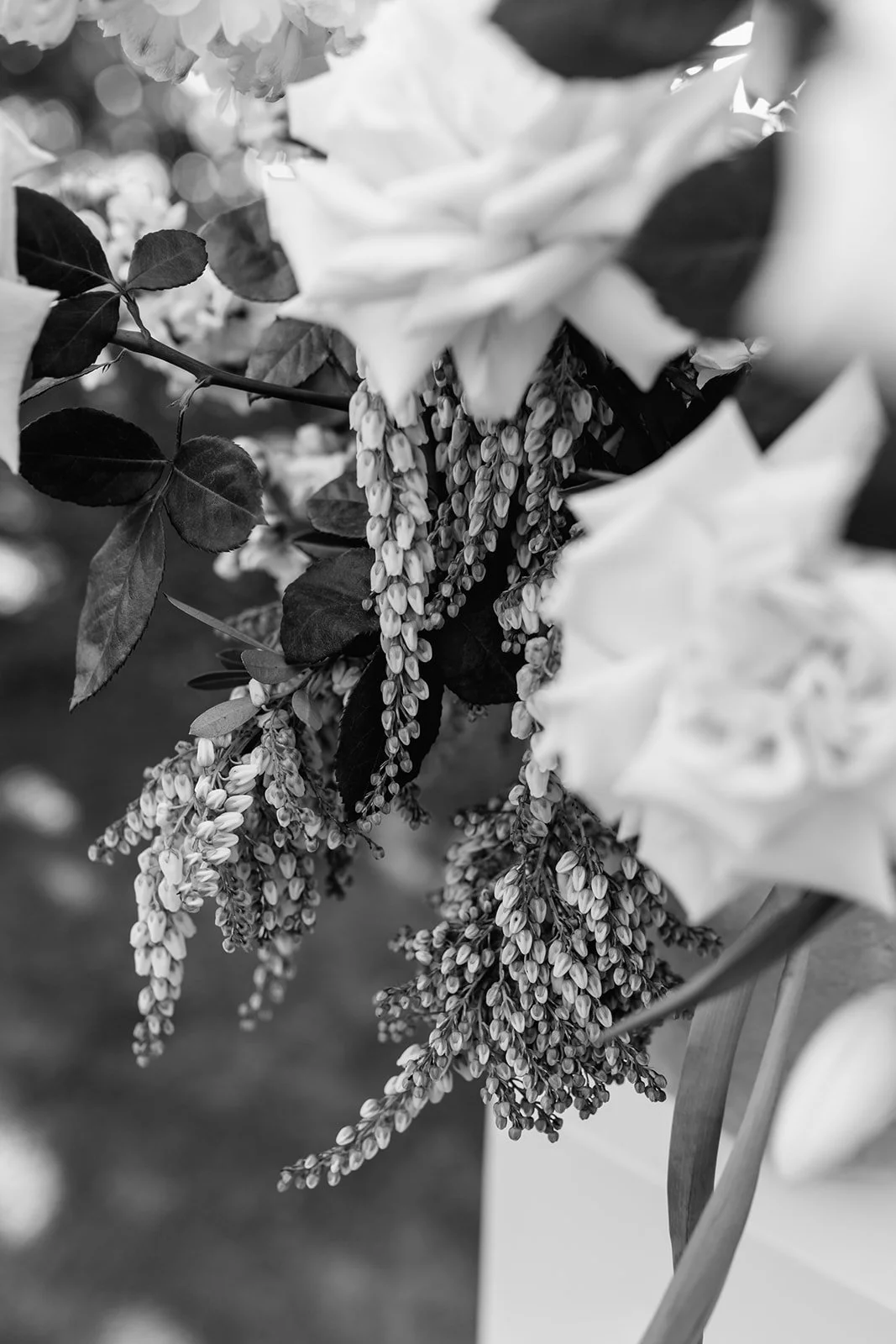 byron-bay-super-8-wedding-Ceremony-255_websize.jpg
