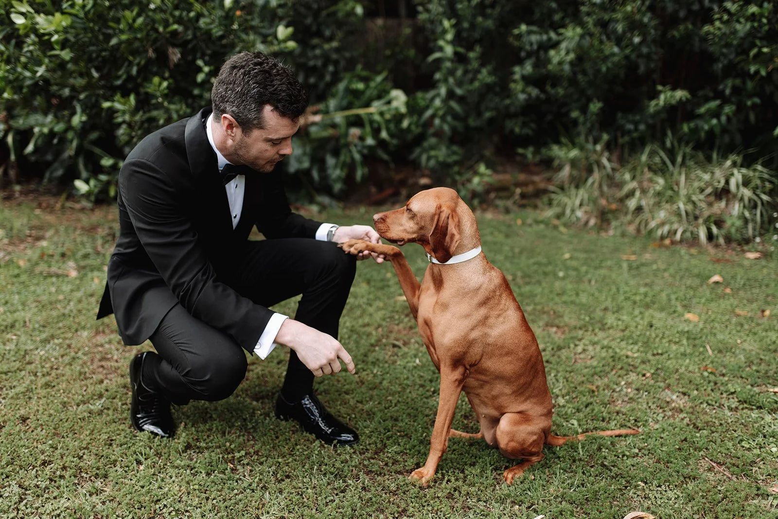romance-era-maleny-manor-wedding-jack-61_websize.jpg