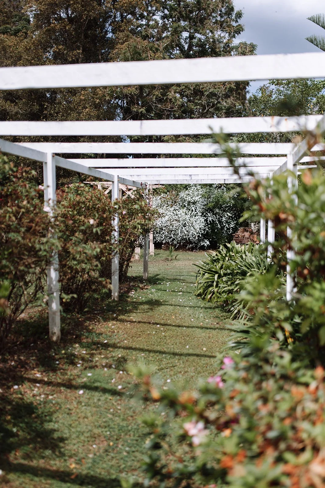 Jack-romance-era-maleny-manor-wedding-jack-2_websize.jpg