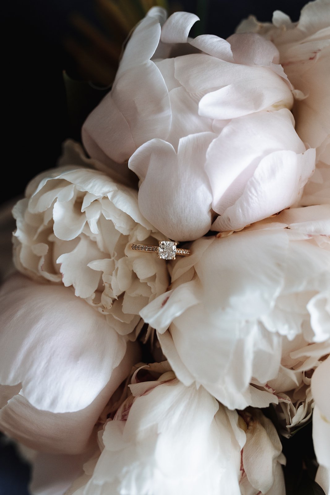 campbell-point-house-wedding-Veronica-7-super-8.jpg