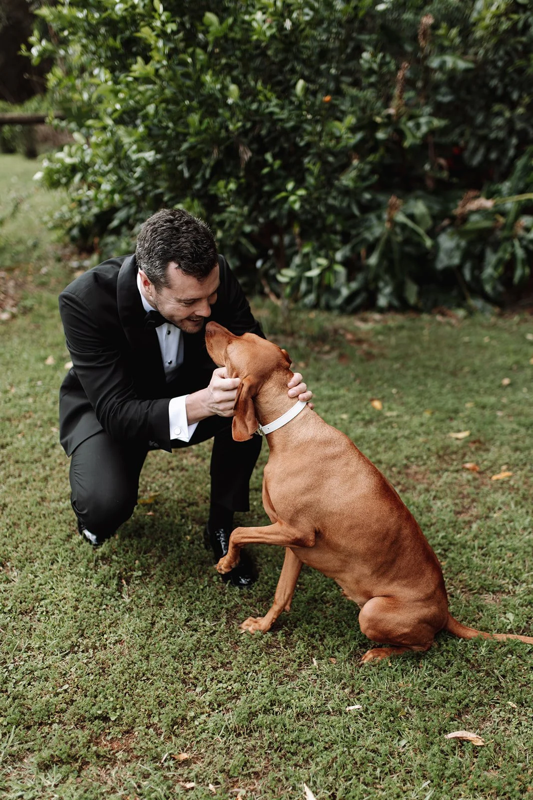 romance-era-maleny-manor-wedding-jack-64_websize 2.jpg