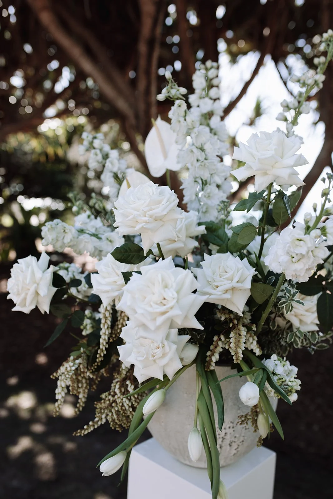 byron-bay-super-8-wedding-Ceremony-14_websize.jpg