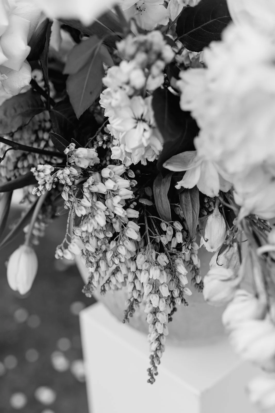 byron-bay-super-8-wedding-Ceremony-252_websize.jpg