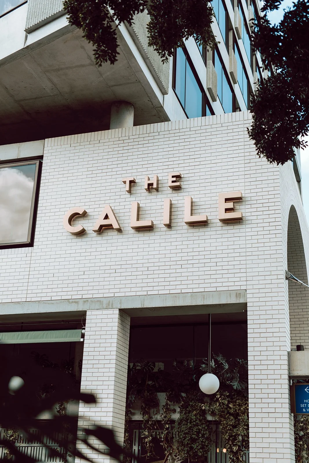 calile-hotel-weddingPreview-2-35mm-film.jpg