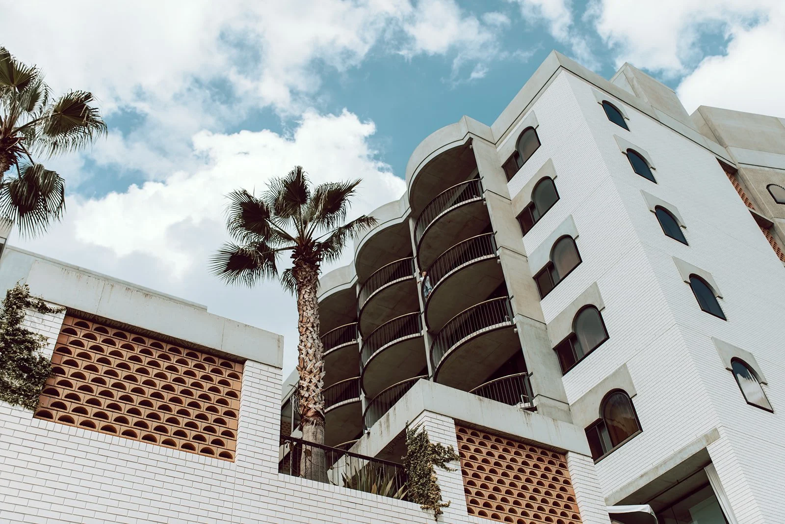 calile-hotel-weddingPreview-4-35mm-film.jpg
