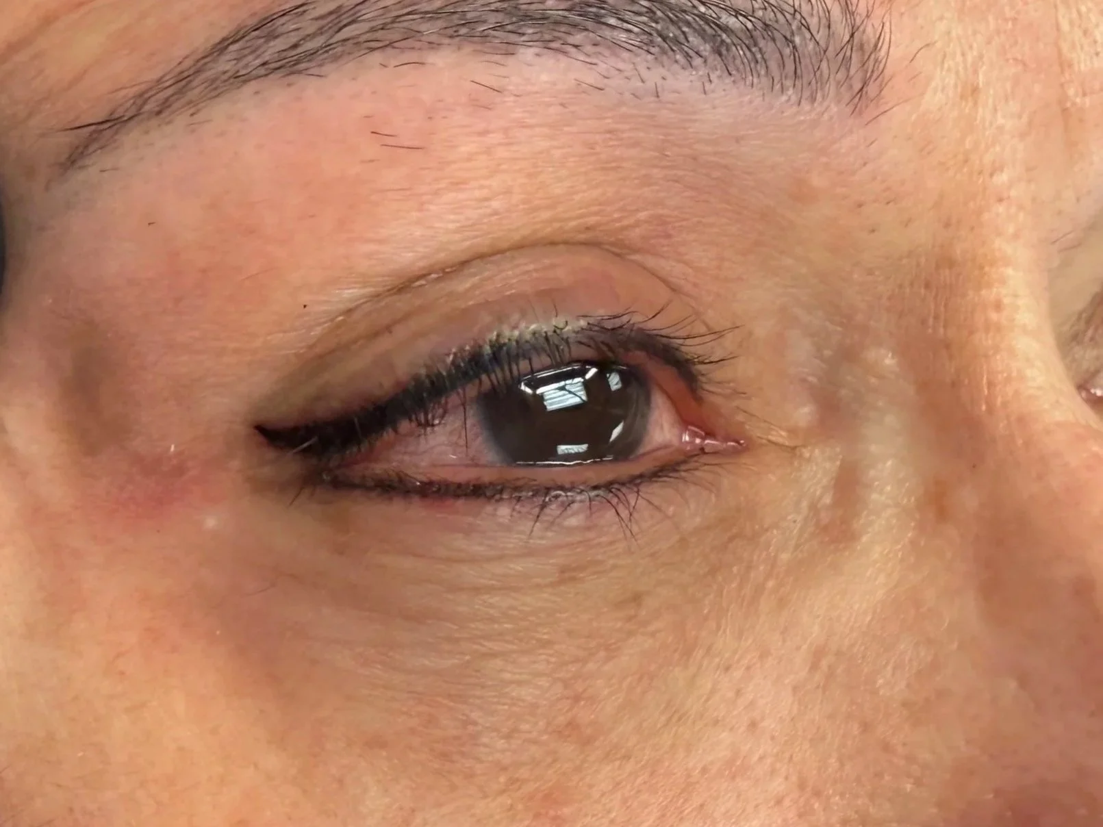 Top Winged & Bottom Lash Lines Eyeliner Tattoo