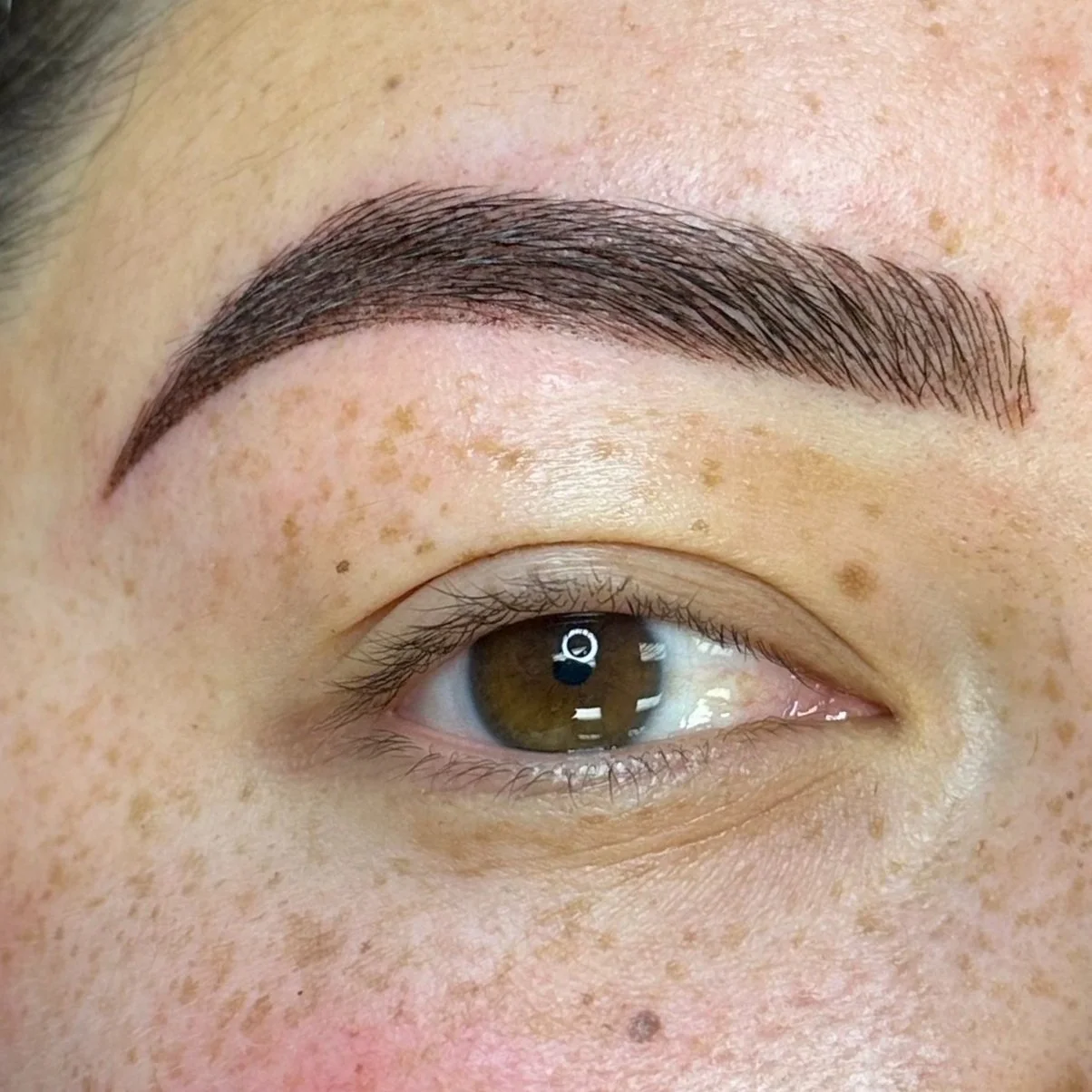 Combo Brows by Lina