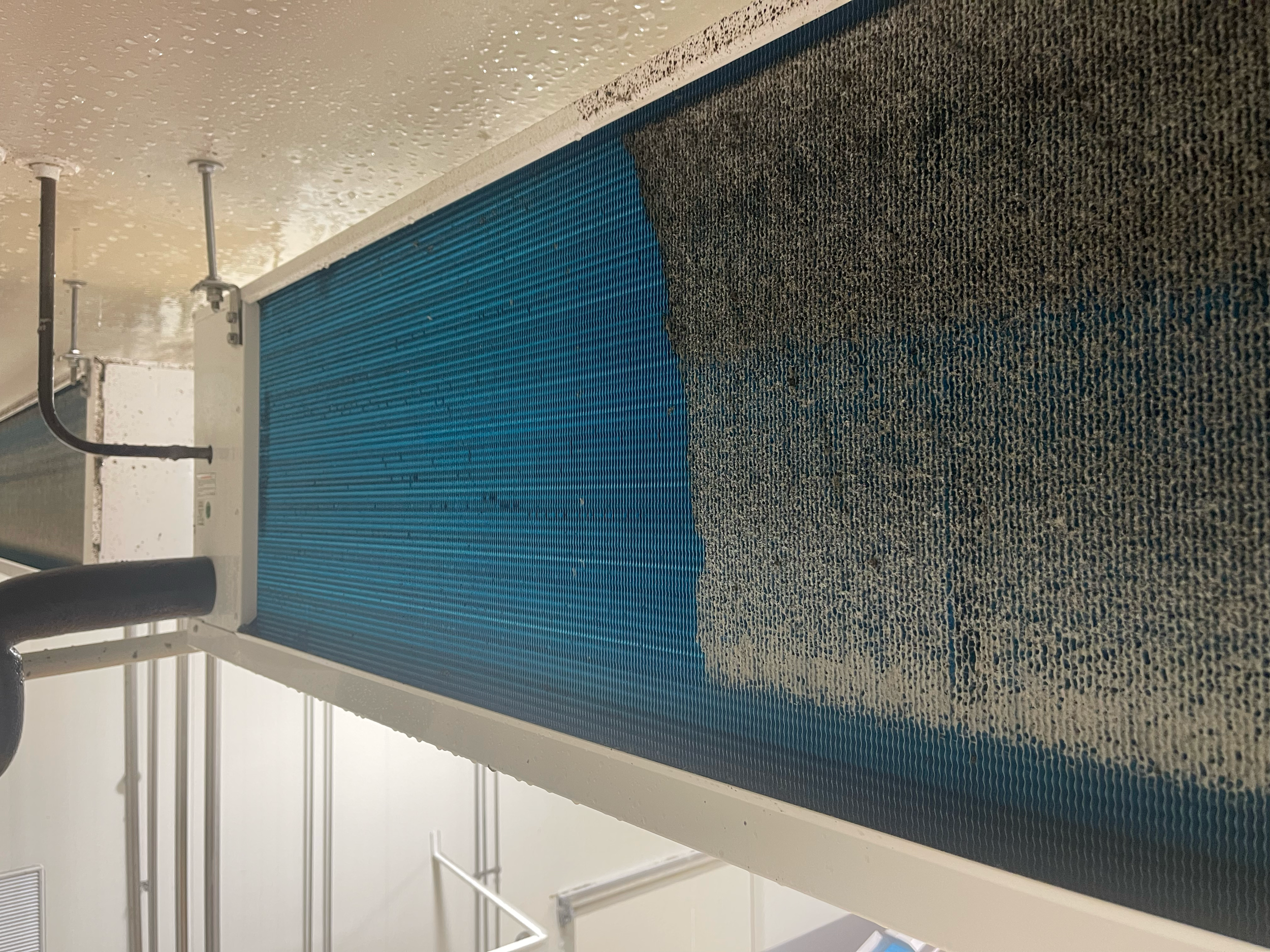 Blue and gray textured mats or rugs attached to a wall in an indoor space with white ceilings and metal supports.