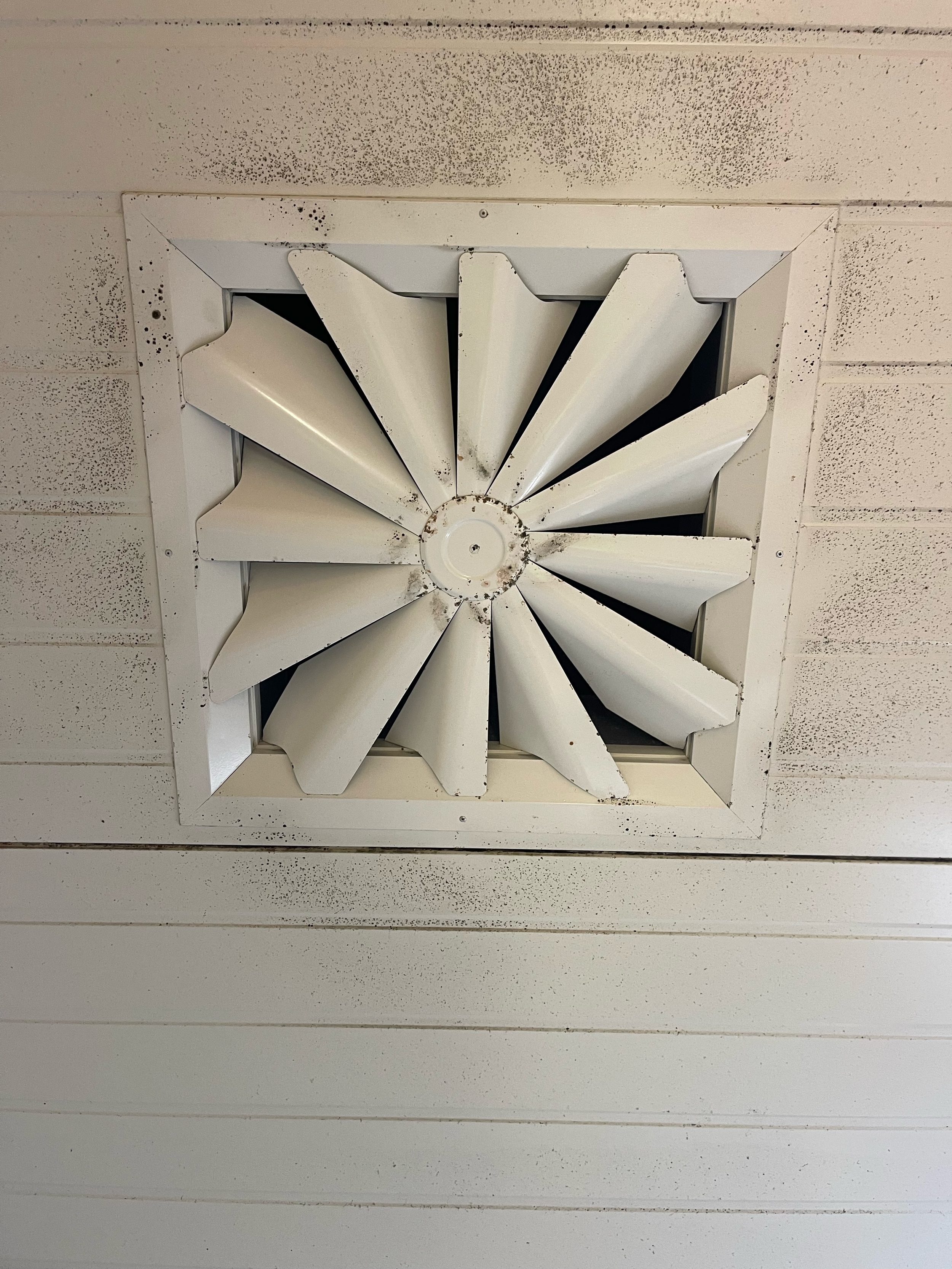 A dirty white ceiling vent with blades in a square frame, dust and dirt accumulated around the edges, mounted on a wood-paneled ceiling.