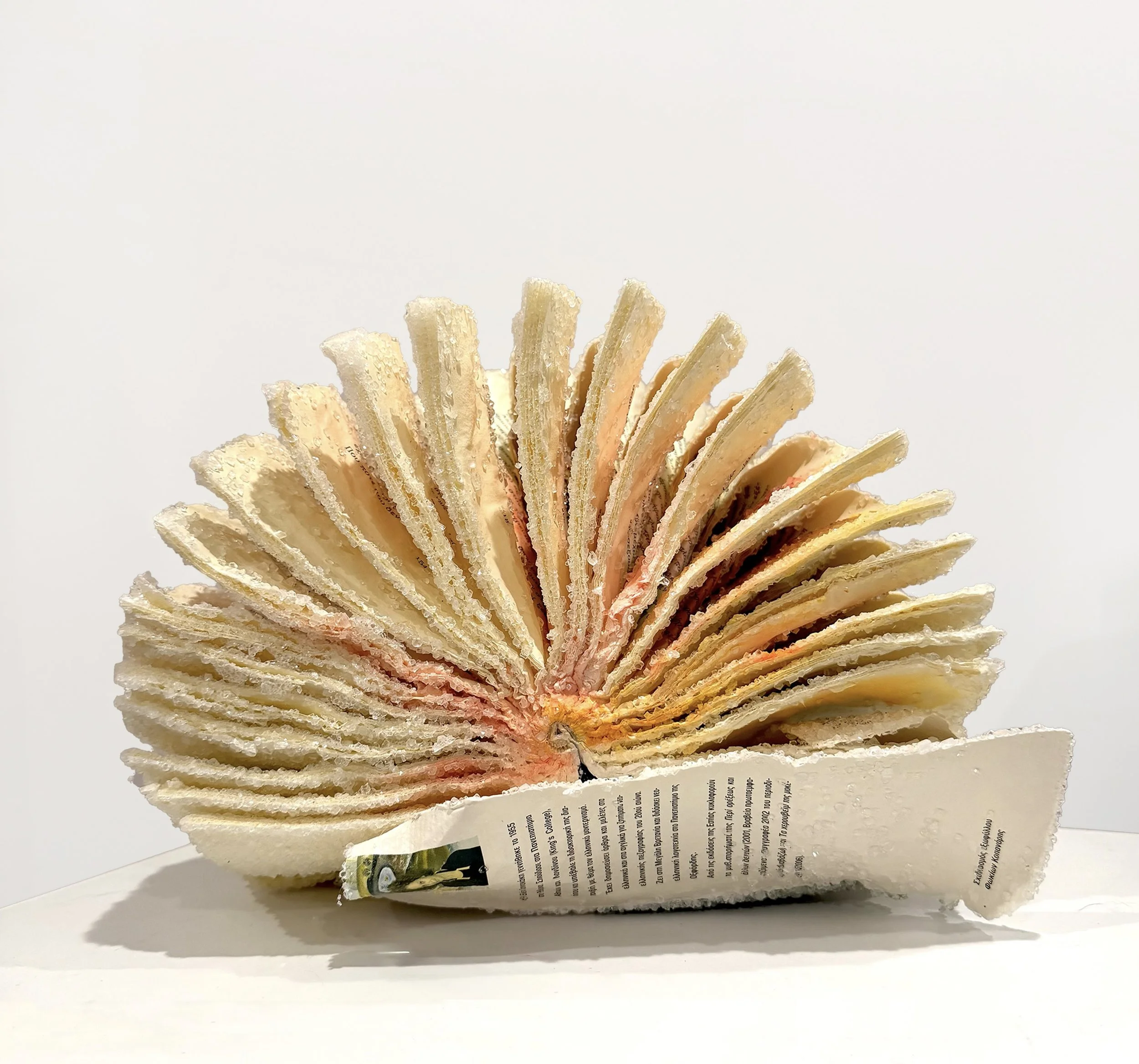 Shell, 2026. Borax crystals and acrylic on book
14.5"x9.5"