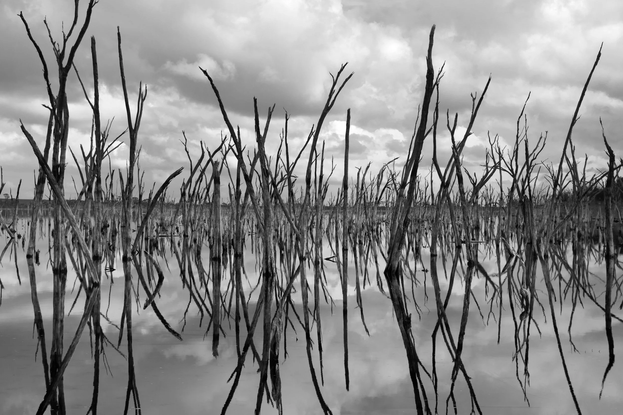 Reflection