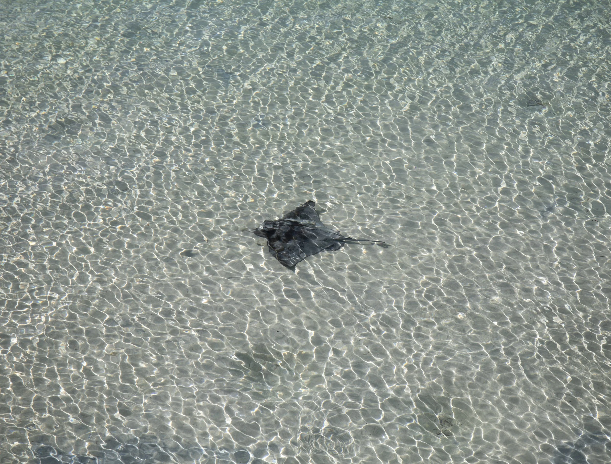 Below the Waves