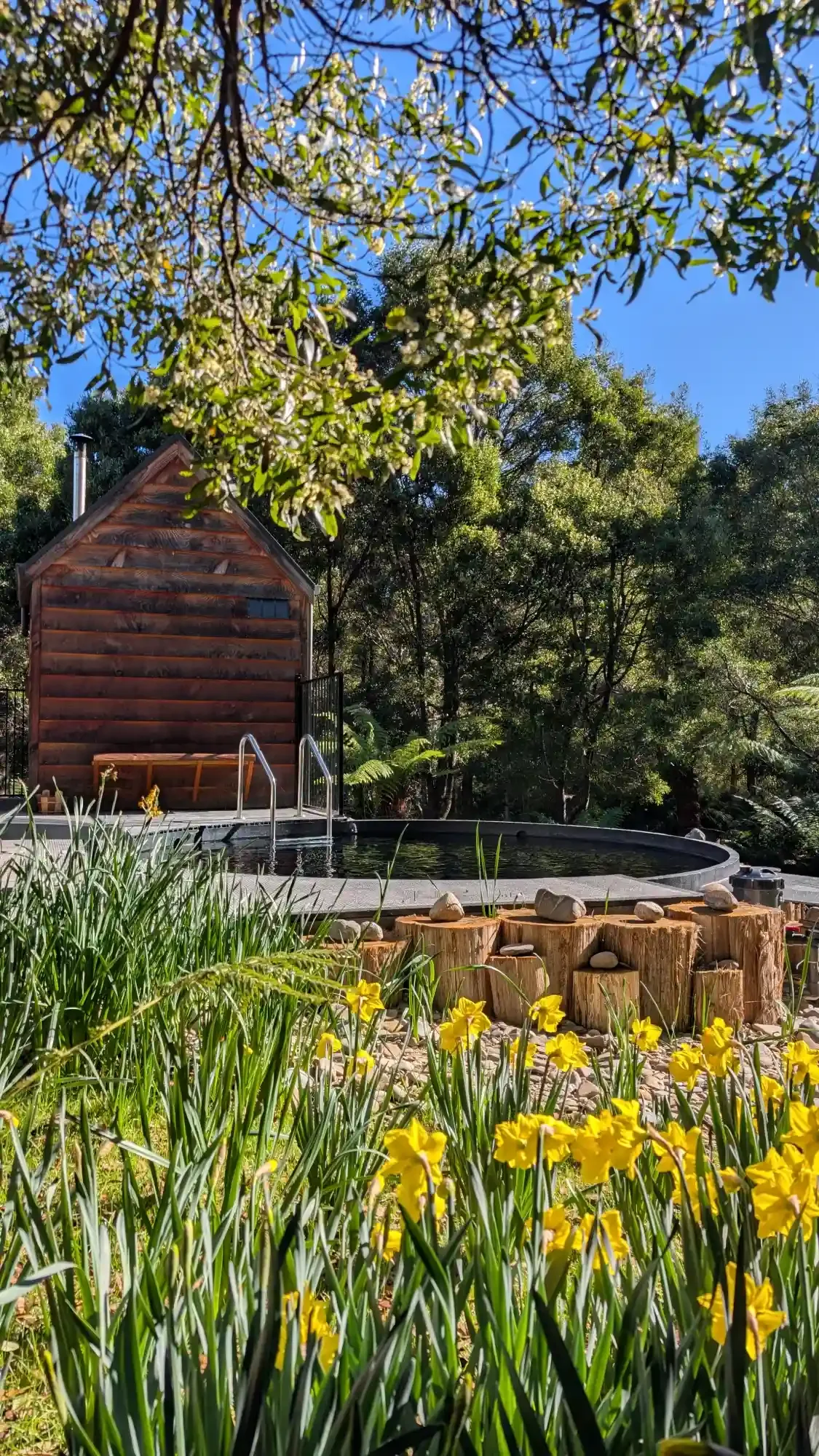The Private Wood-fired Tailrace Sauna and Plunge in the bush next to the river near Derby Tasmania