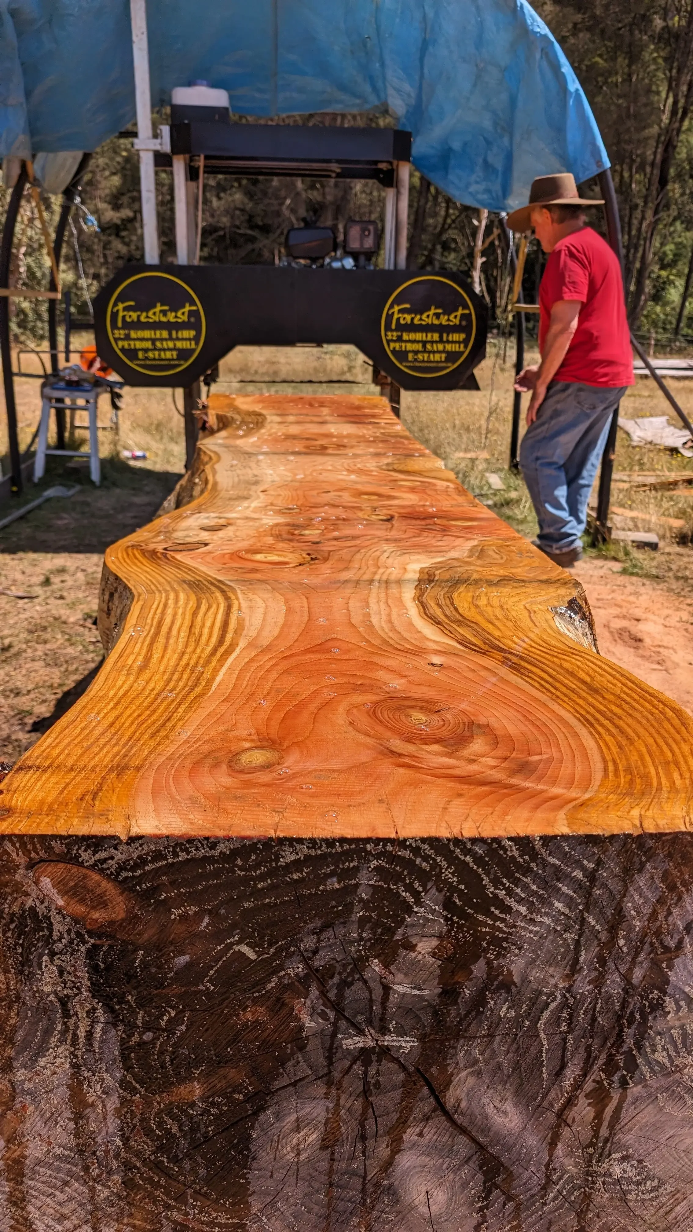 Timber for Tailrace Sauna building being milled locally