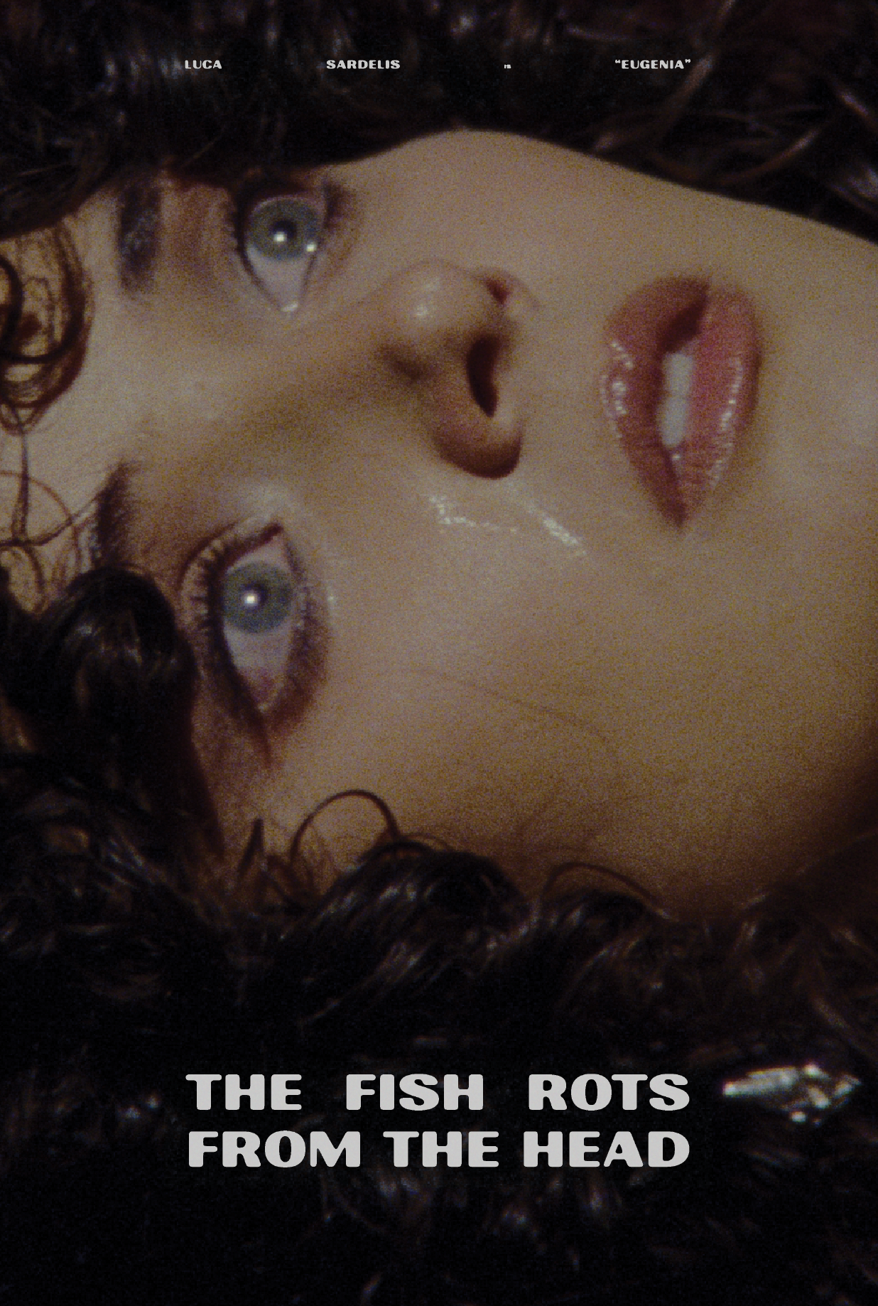 Five days before her parents return from their holiday, Eugenia discovers that she has negligently killed their pet fish. Eugenia would like to explain why it's not her fault things turned out the way they did.