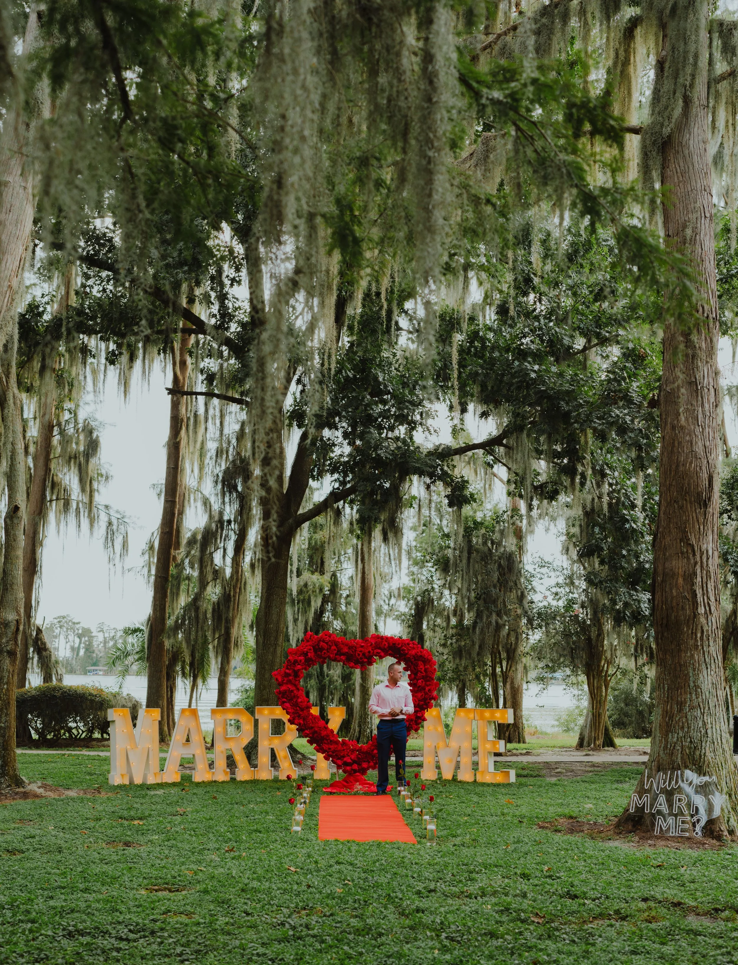 A man stands in front of large illuminated letters spelling out 'MARRY ME' at a romantic outdoor setting with trees and hanging moss, holding a small object, surrounded by a large red heart made of flowers.