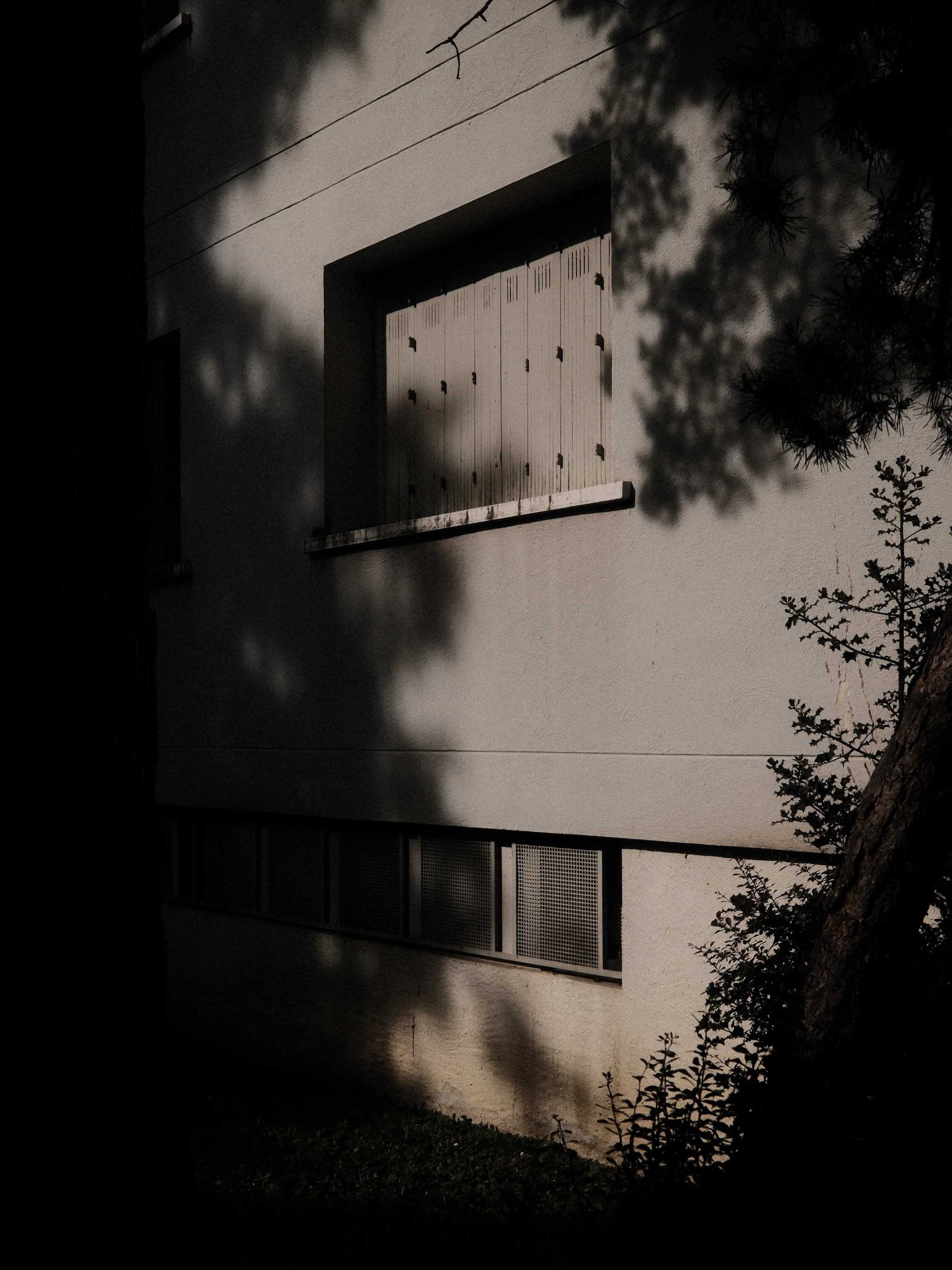 Moody night photography of a white building façade with branch shadows and wooden shutters. Contrast and silence..