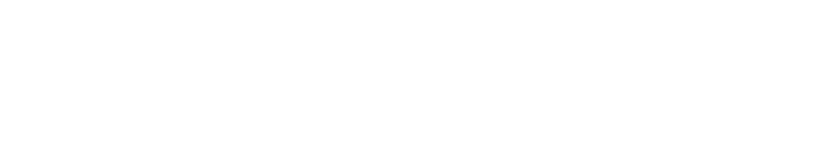 Holistic Organising Services