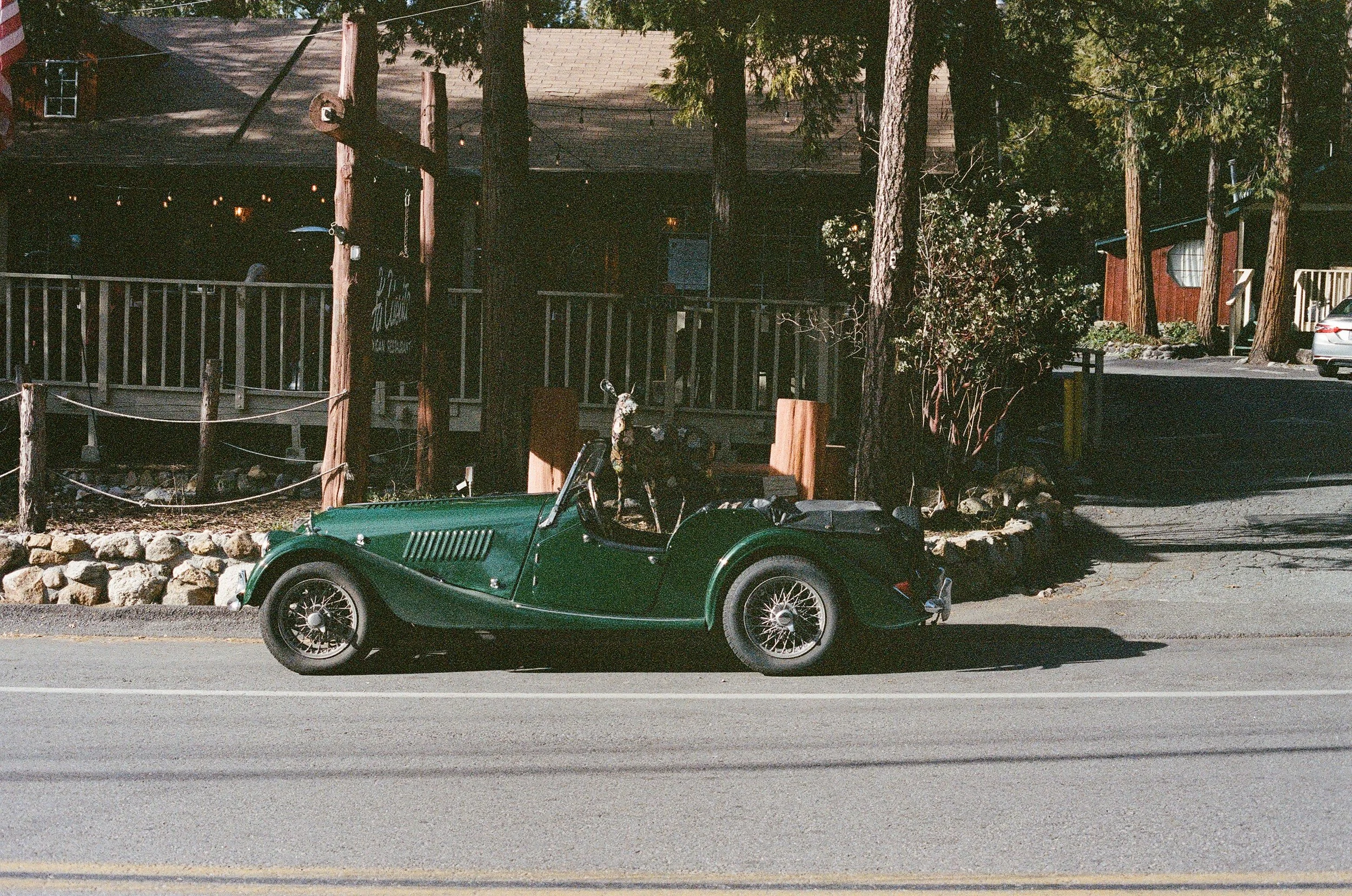 IMG_2541.JPG