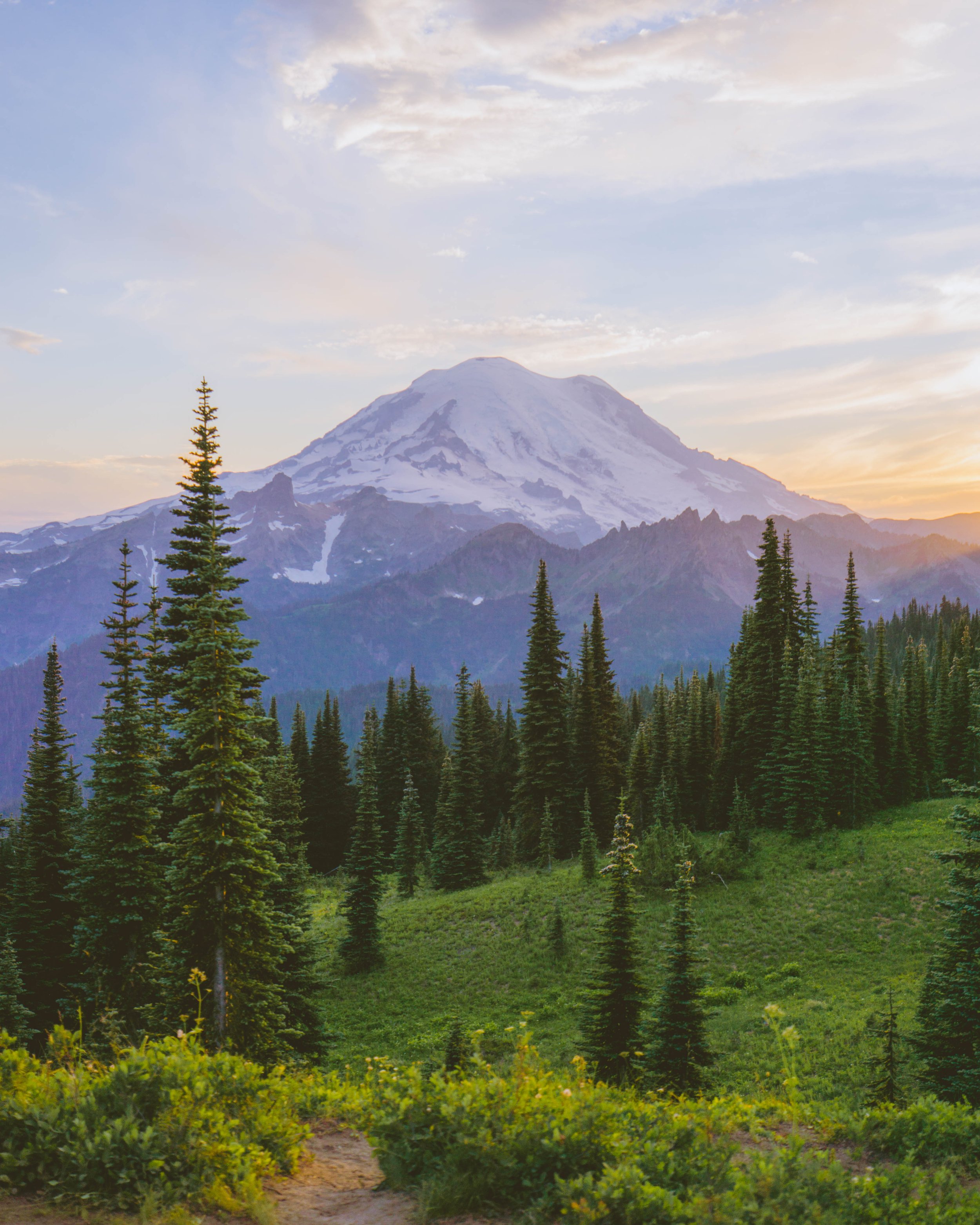 5 Best Beginner Hikes at Mt. Rainier National Park