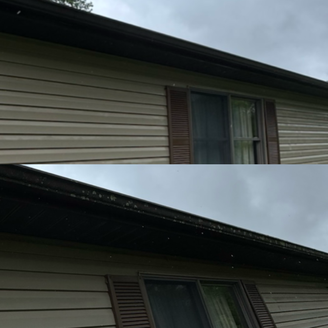 A side view of a house's roof and wall, showing beige siding, brown shutters, a window with curtains, and some small white spots or debris on the black roof overhang in cloudy weather.