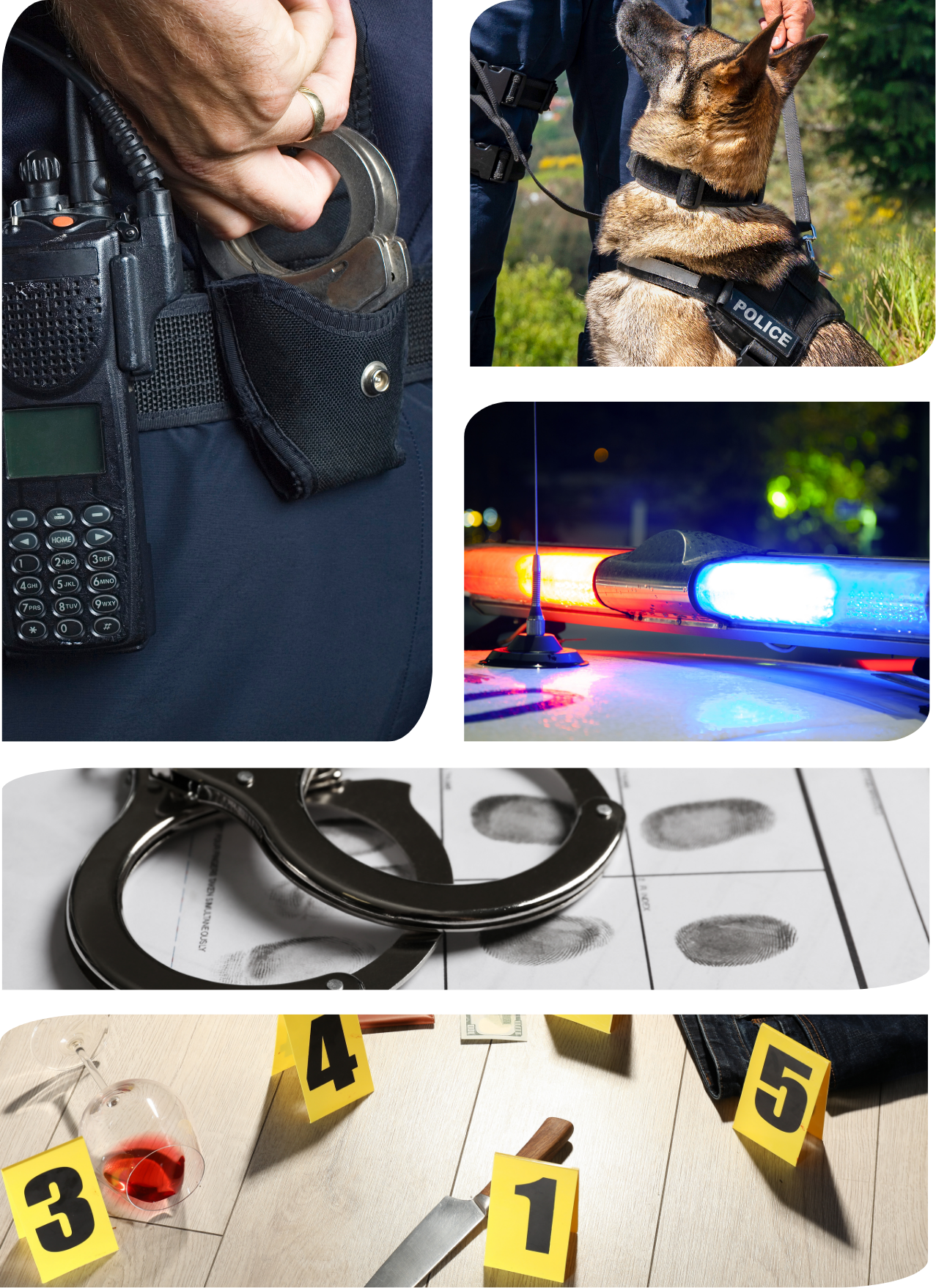 Invictus Investigations - Private Investigators New Zealand