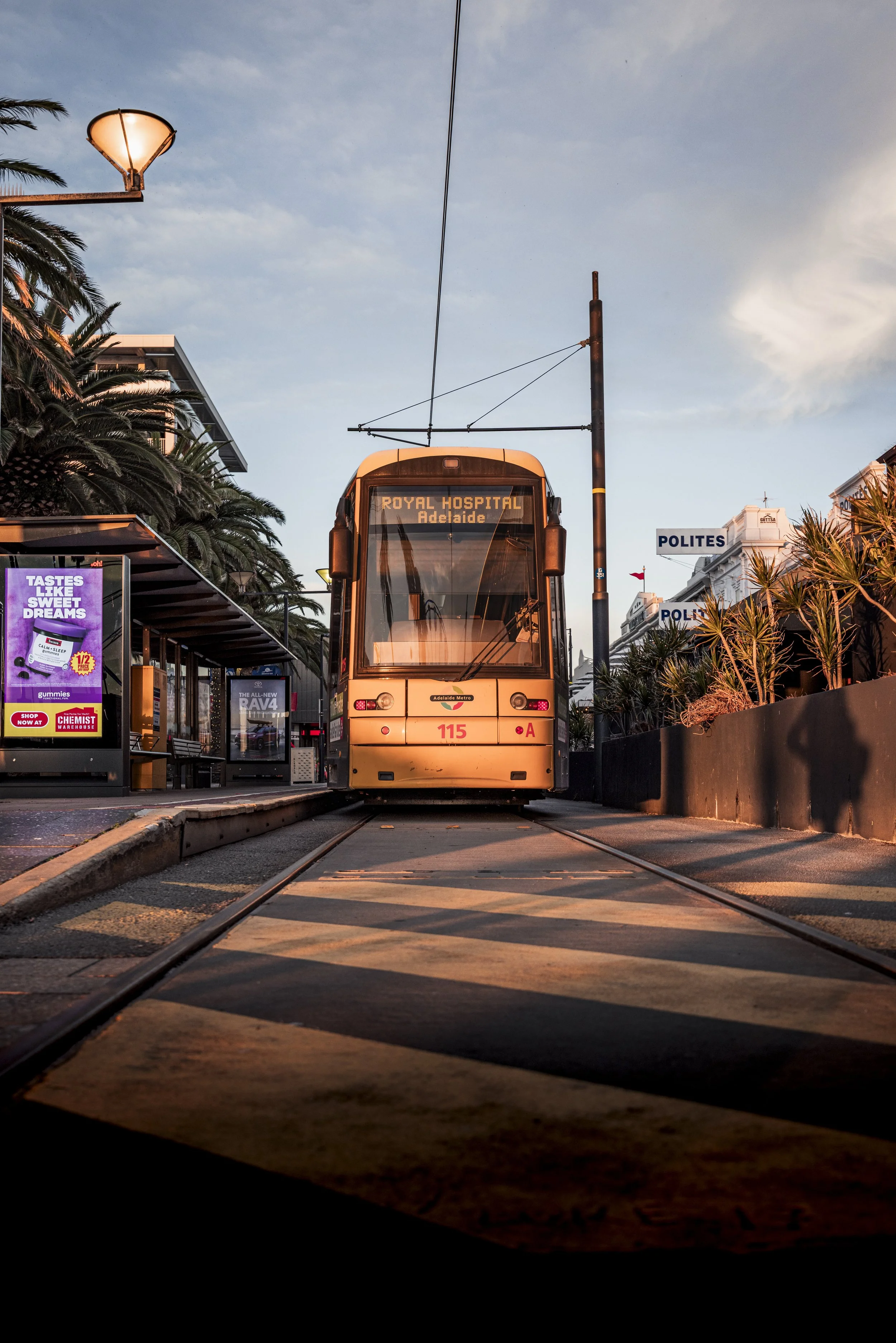 A tram on a city street with a digital display showing 'Royal Hospital Adelaide' at sunset. There are buildings, trees, and a billboard in the background, with a clear sky overhead.
