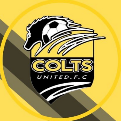 The logo of the Colts United F.C., featuring a football, a horse, and the team name, on a yellow and black background.