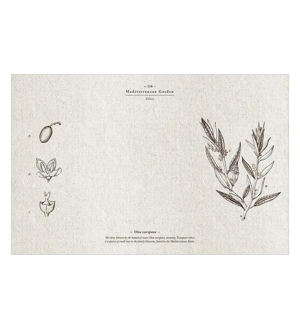 Placemats