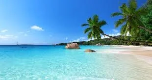 Summer Blog