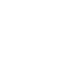 Icon Deezer