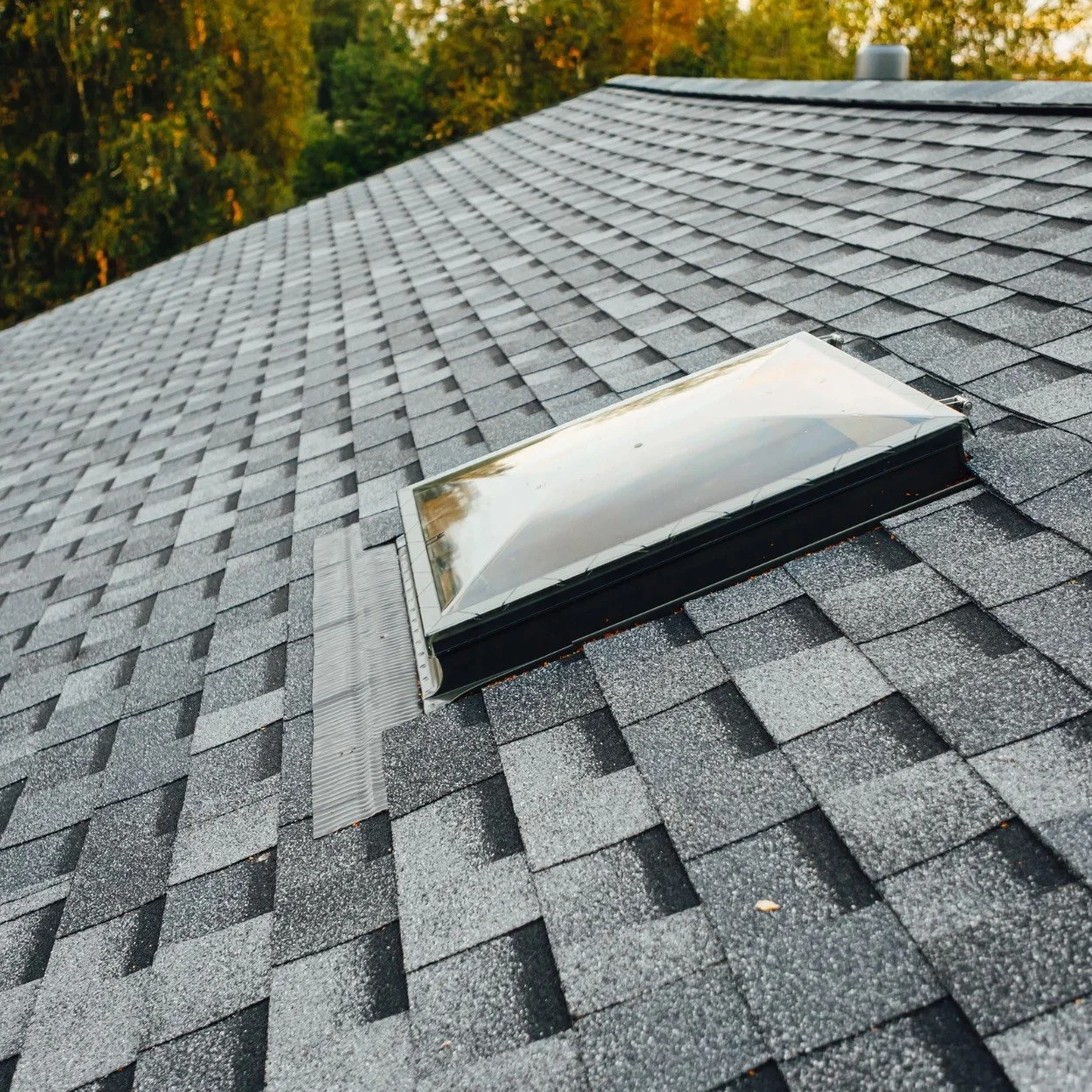 A close-up view of a skylight on a shingled roof with trees in the background.