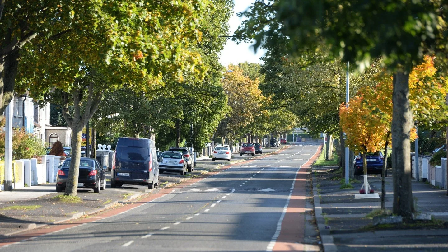 A quiet residential street with parked cars, lush green trees with some autumn foliage, and houses lining the sidewalk on a sunny day.