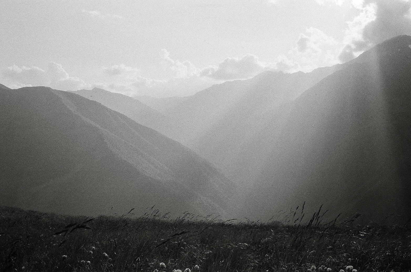 07E846BA-3418-488A-A7A0-BA0B8D0223FC_1_201_a.jpeg