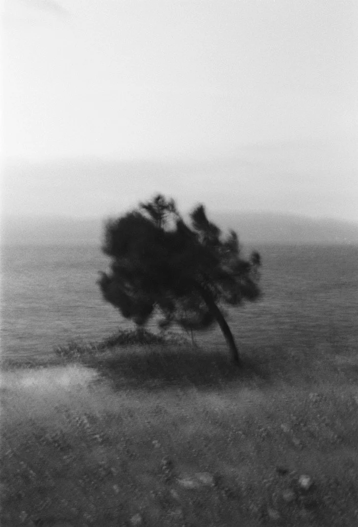 0EA0CD03-1A9B-479A-87CA-D0A87ECA8289_1_105_c.jpeg
