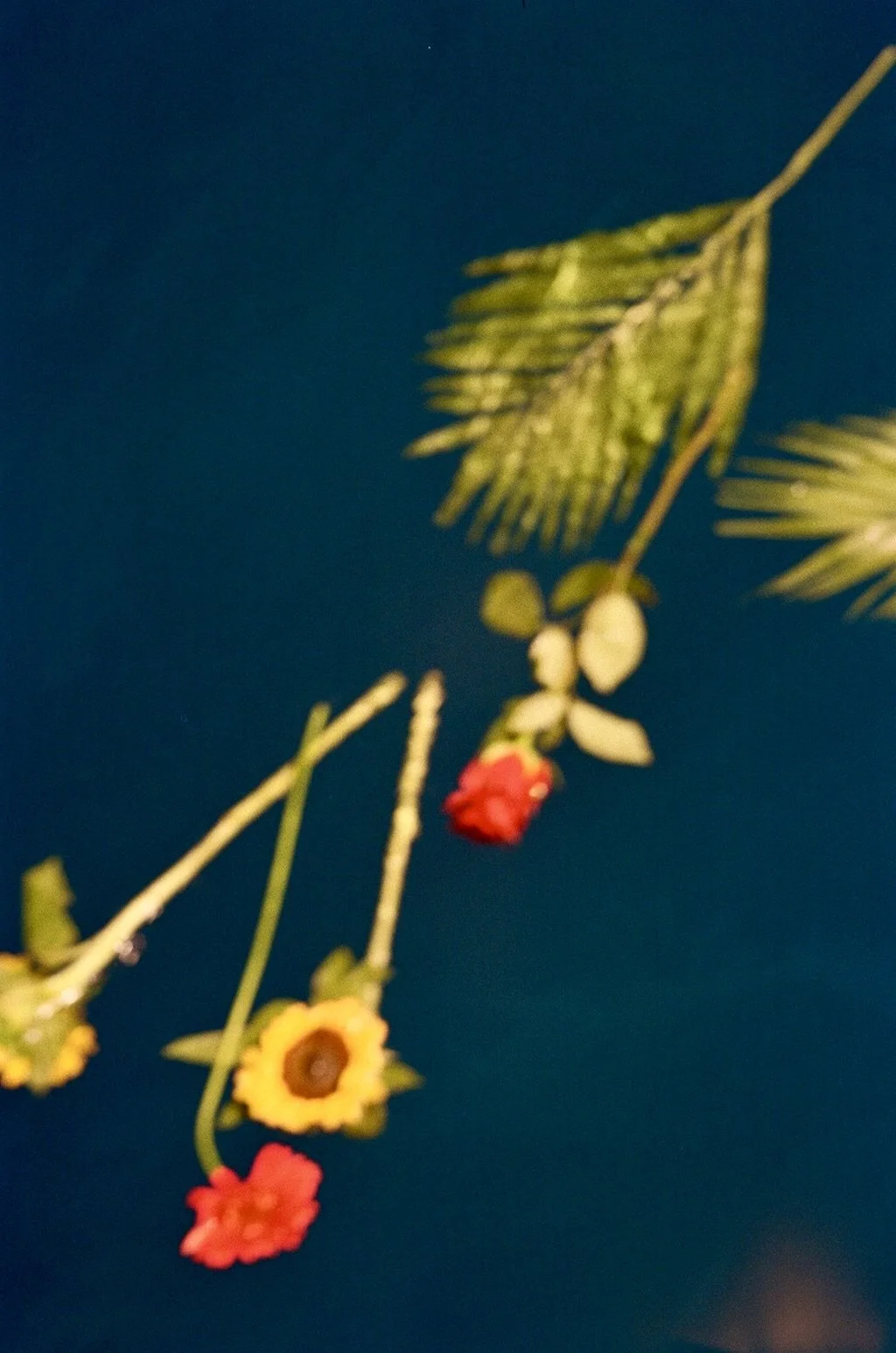 1D745ED9-C5CE-42FB-93CE-F9D6577857C0_1_201_a.jpeg