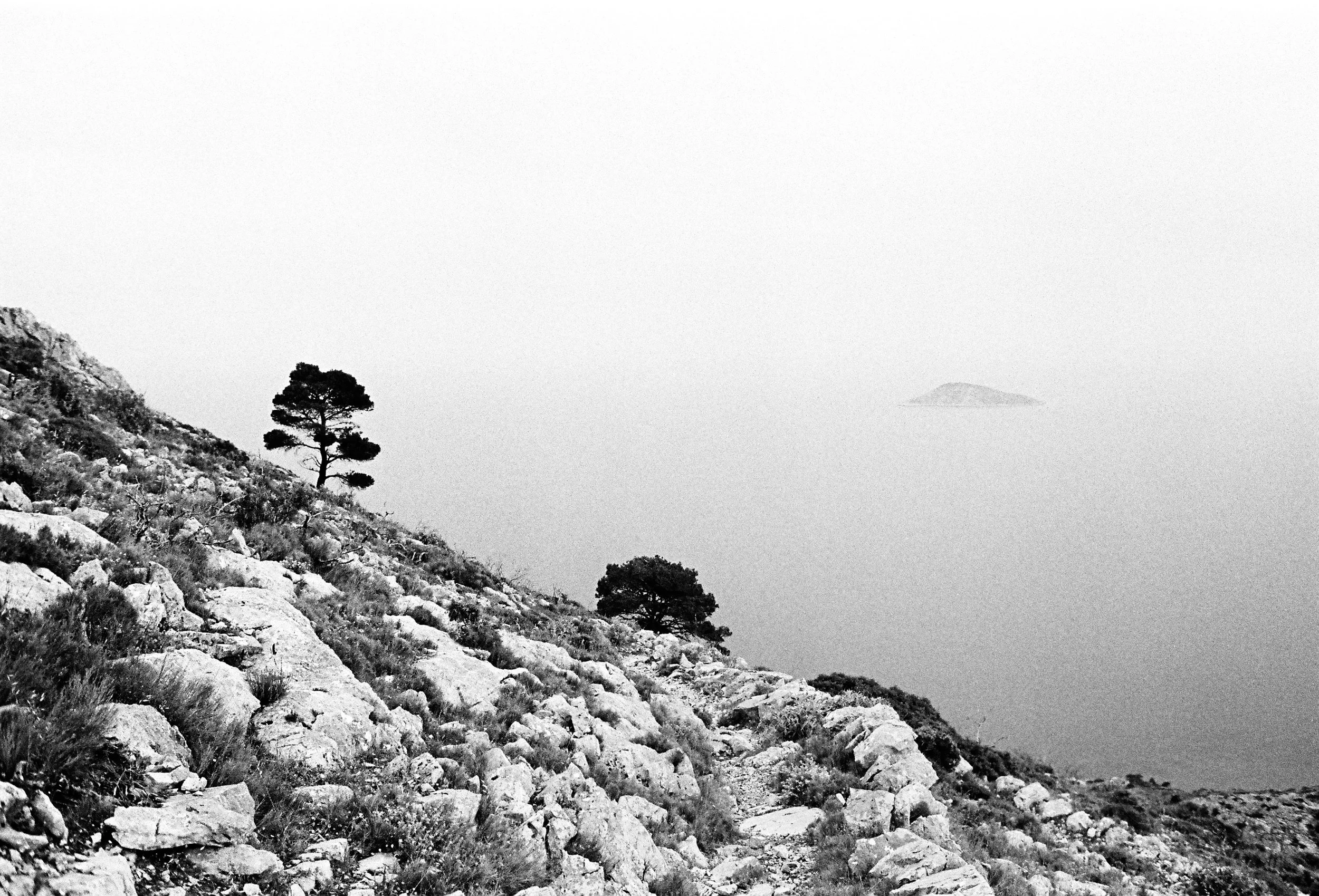 C5202736-3027-44CD-A3E8-B22AE5755465_1_201_a.jpeg