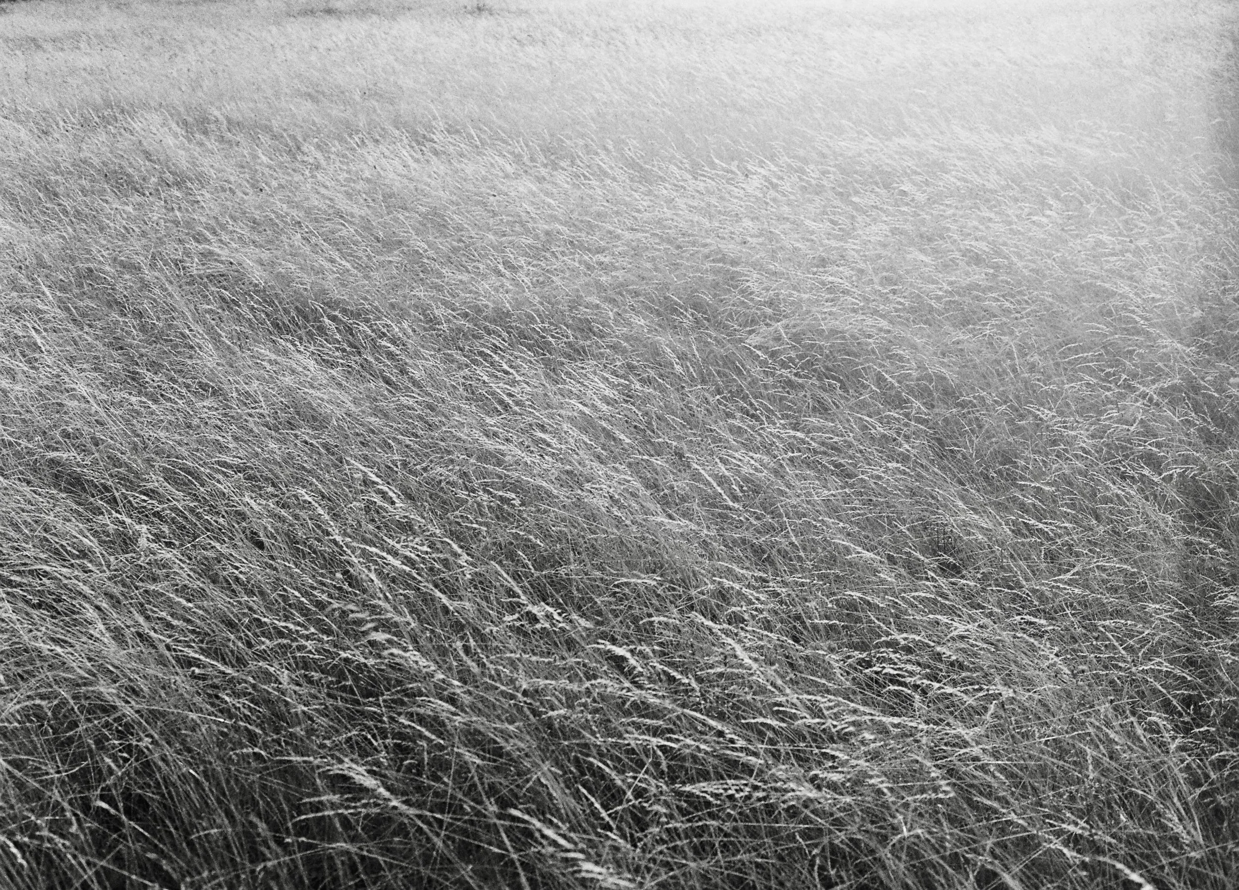 09873424-10E0-4730-AFBC-64C49FDB8E3D_1_201_a.jpeg