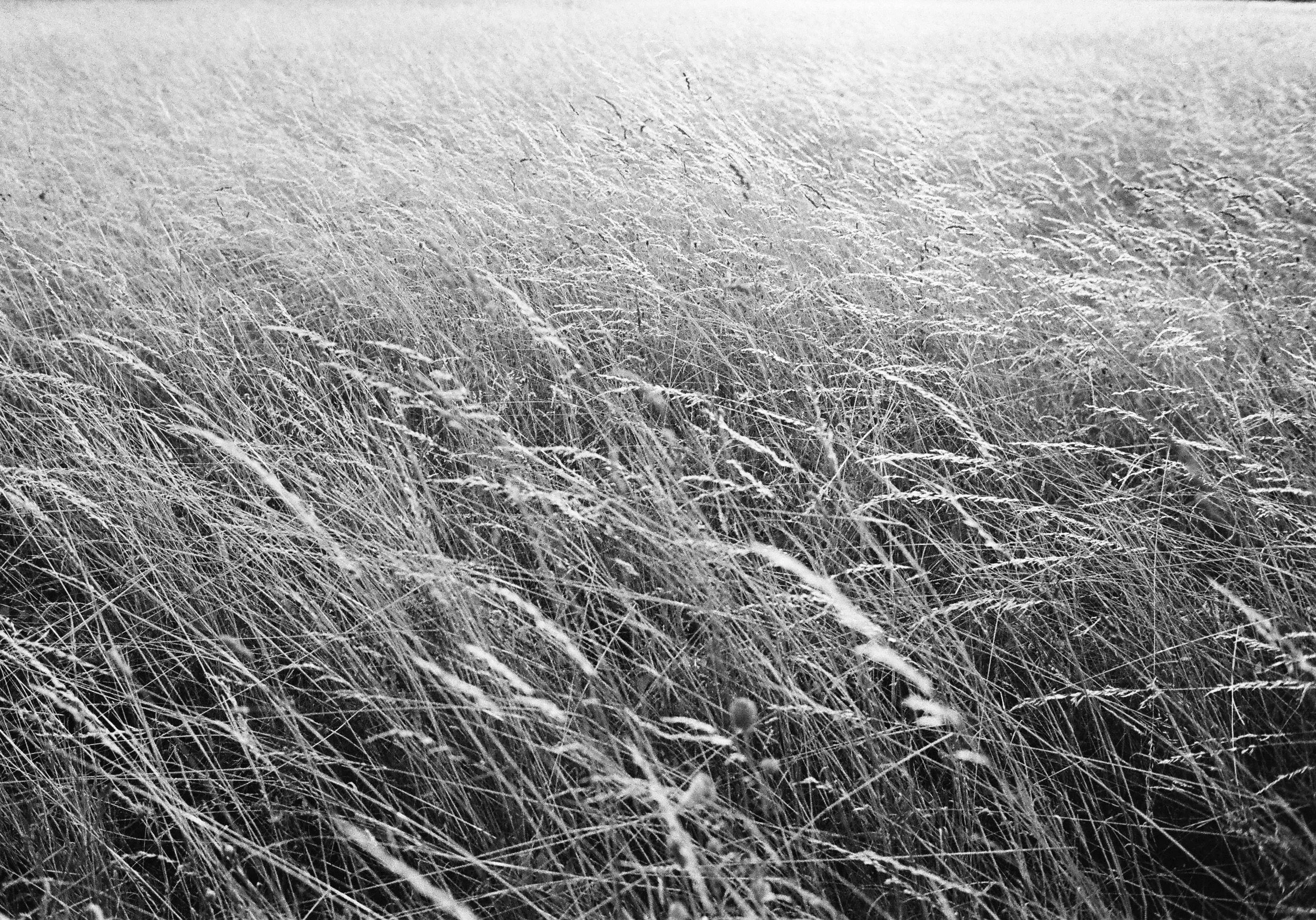 13E385B8-4B31-4F63-9003-47FD6DEF16ED_1_201_a.jpeg