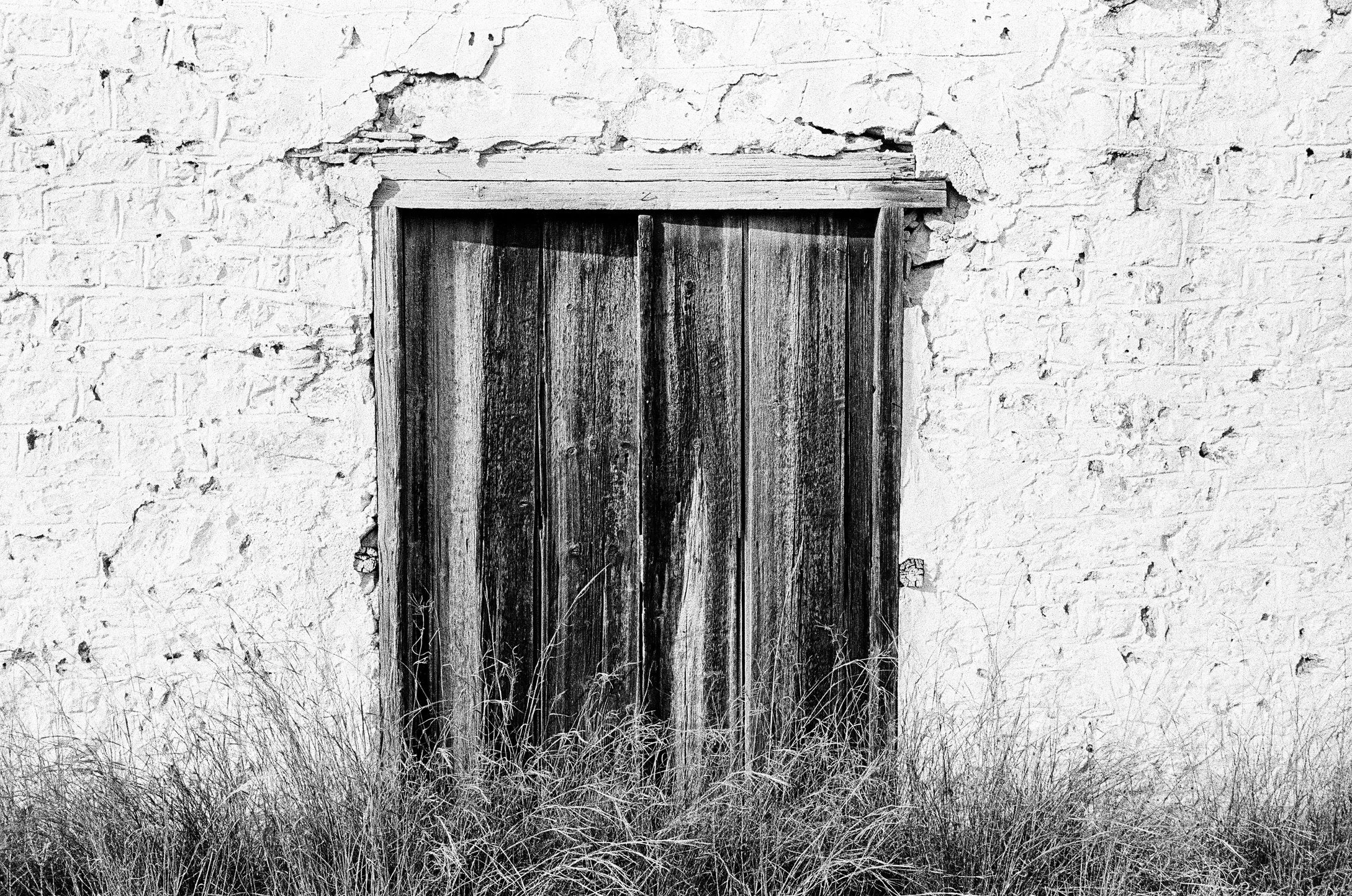 71365E69-10E1-4232-B429-B4CAB14585A7_1_102_o.jpeg