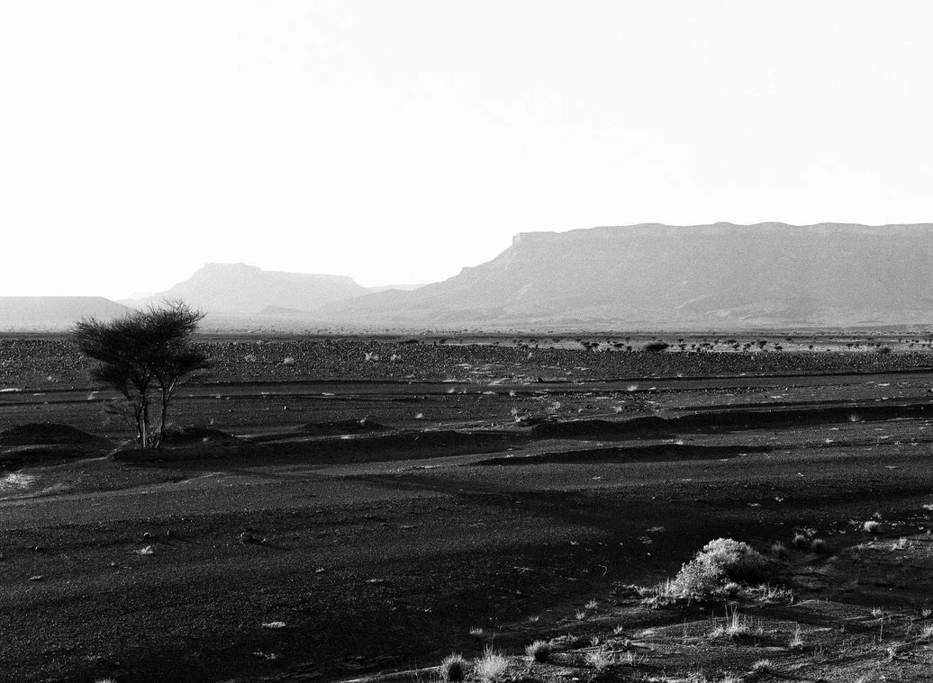 CAD30C8F-08AA-40AE-8DD4-7C37B410A447_1_105_c.jpeg