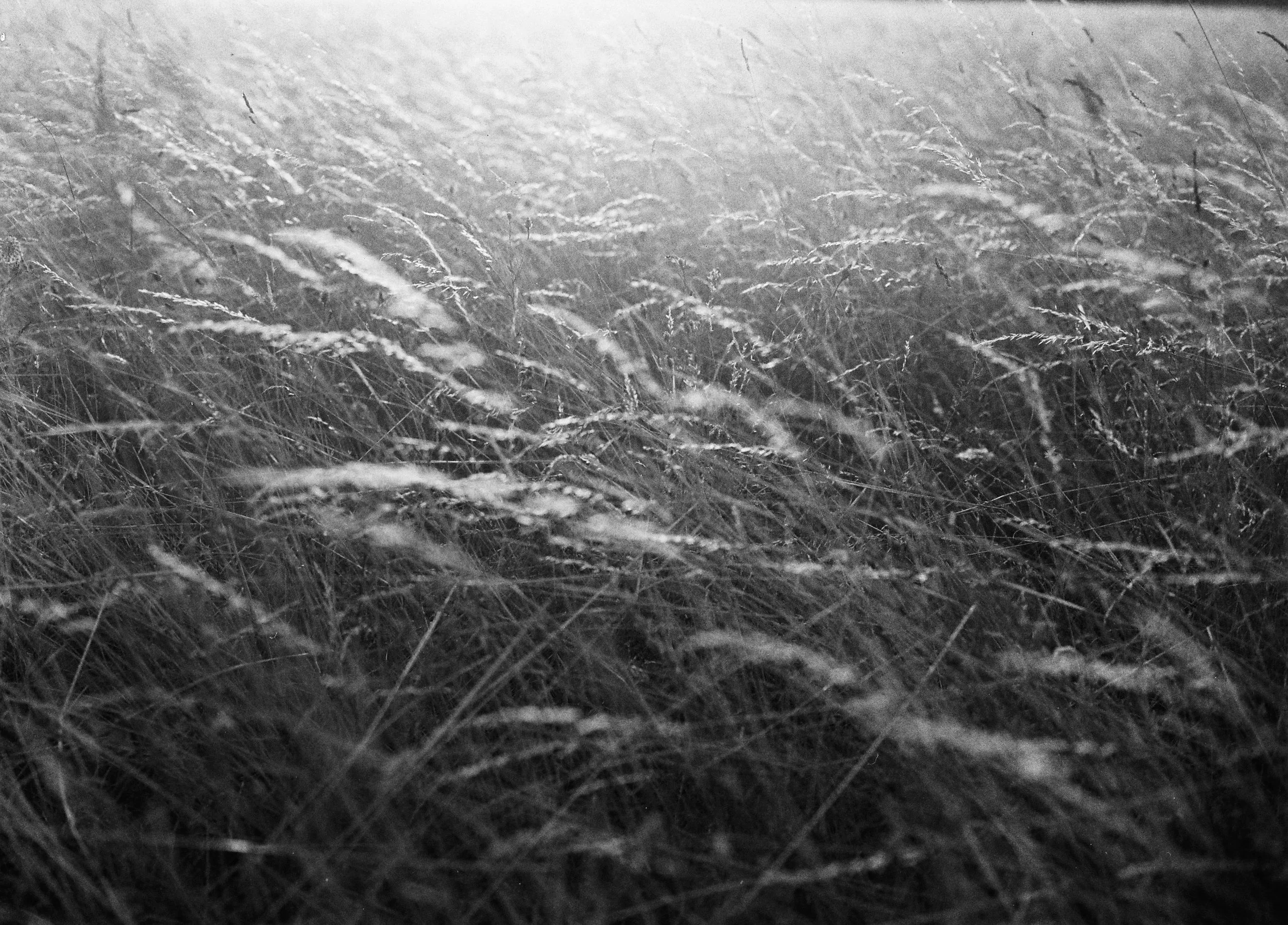 C3C0BFA8-06F4-45F8-8B65-3144F0551AA1_1_201_a.jpeg