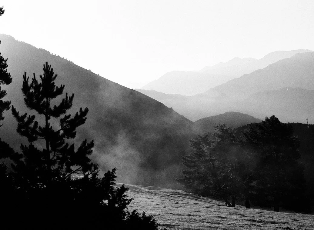 636CE673-A512-4D4C-AA64-DB0154D72245_1_105_c.jpeg