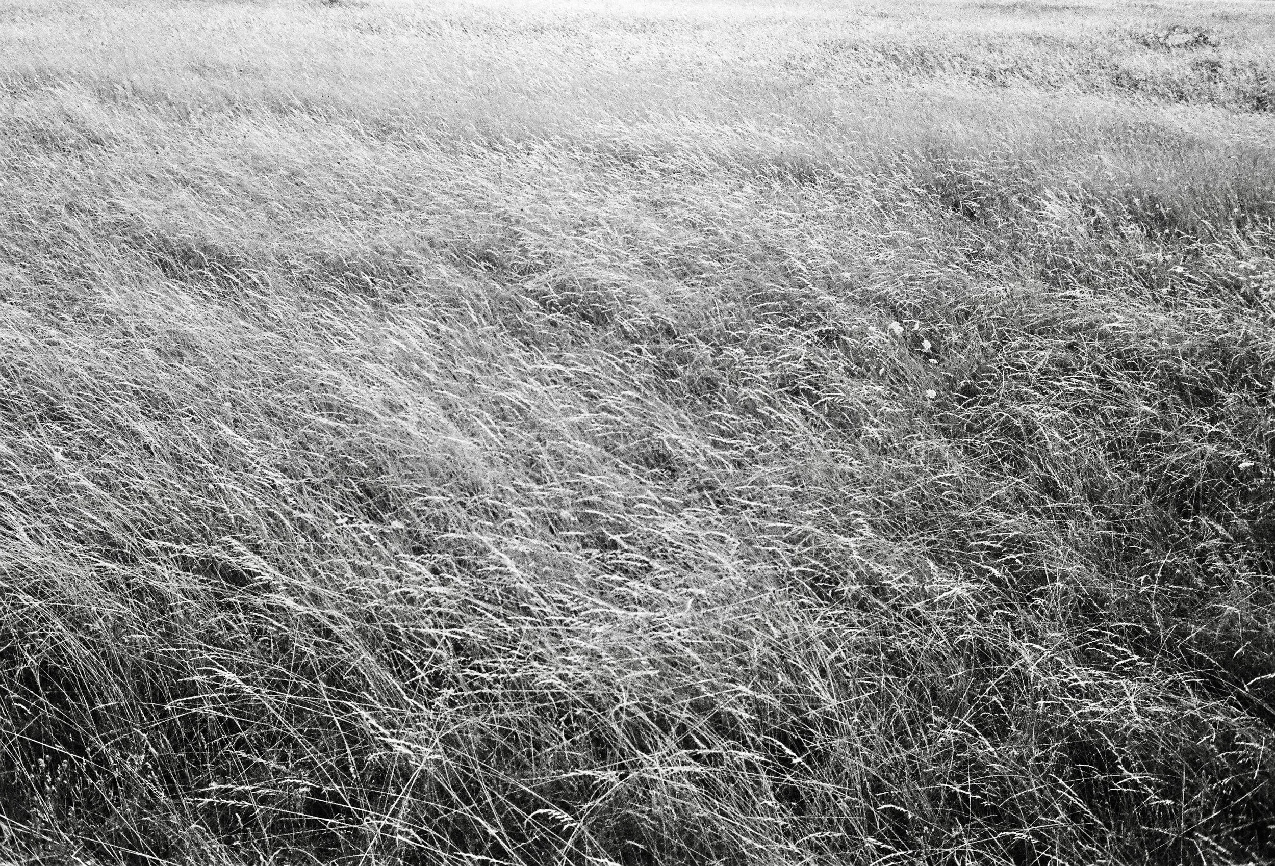 4631C03D-9A31-40CE-B173-978857B78862_1_201_a.jpeg