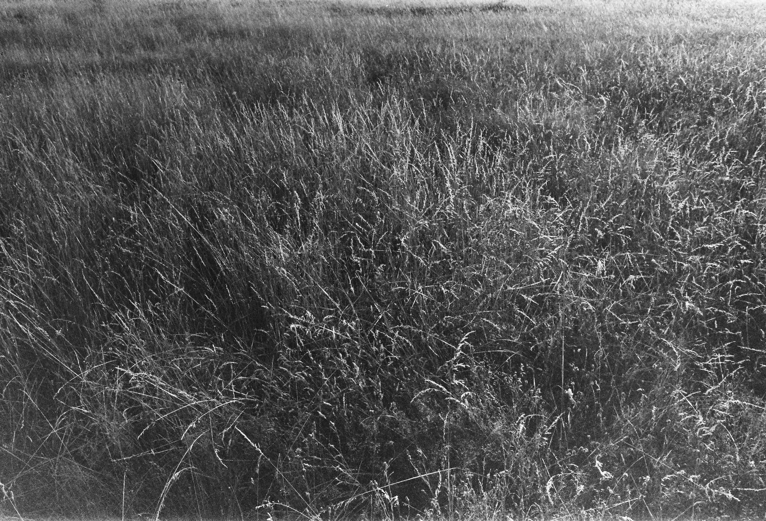 6FD62875-0E88-4716-9850-D5817B78C24A_1_201_a.jpeg