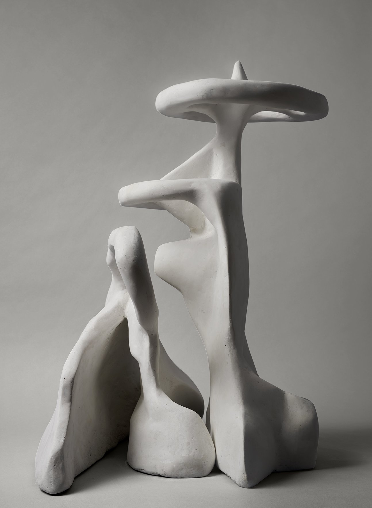 Sculpture - Plâtre -  Modelage - CEMI (artiste) 