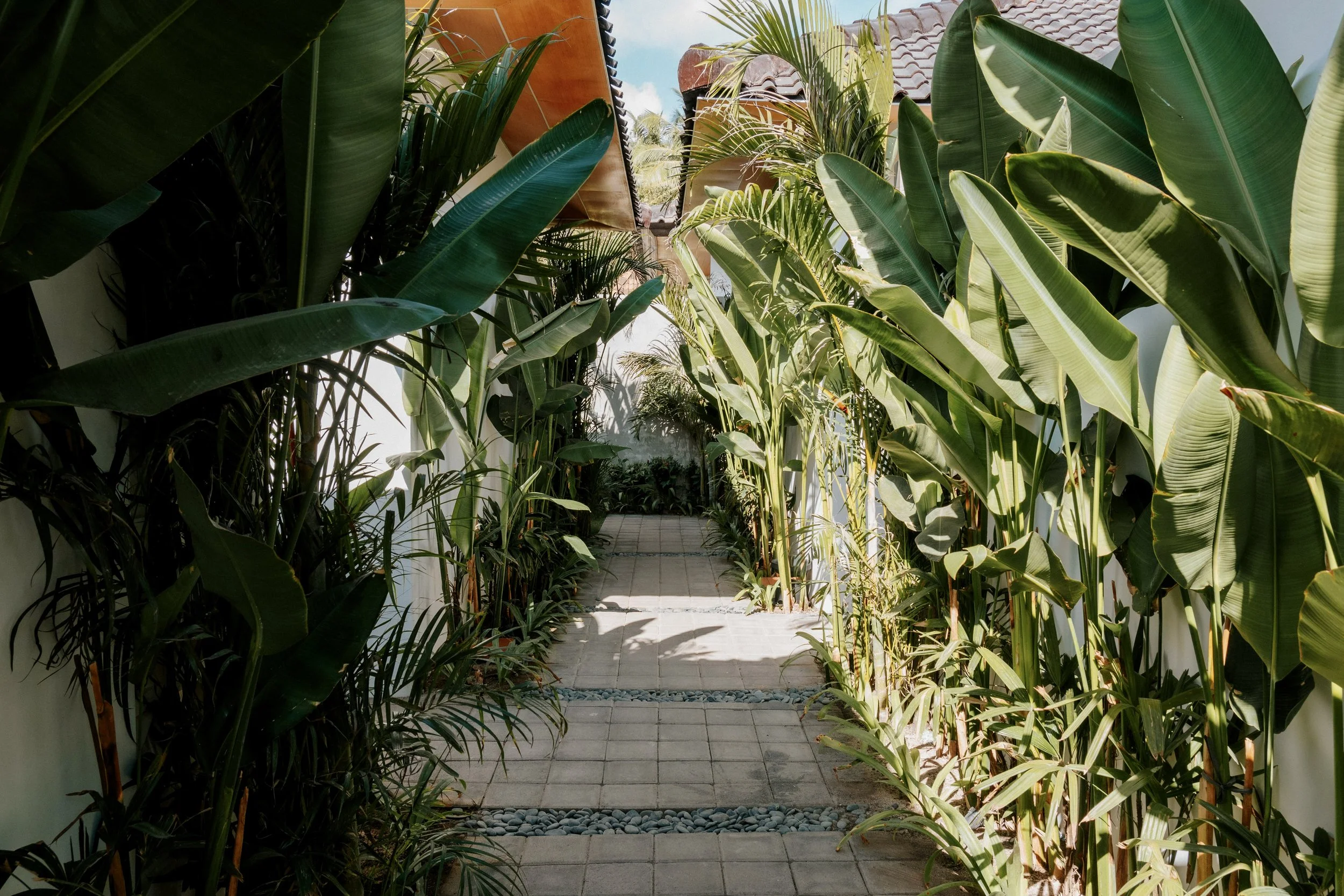 Tropical garden pathway at Kalm Lembongan