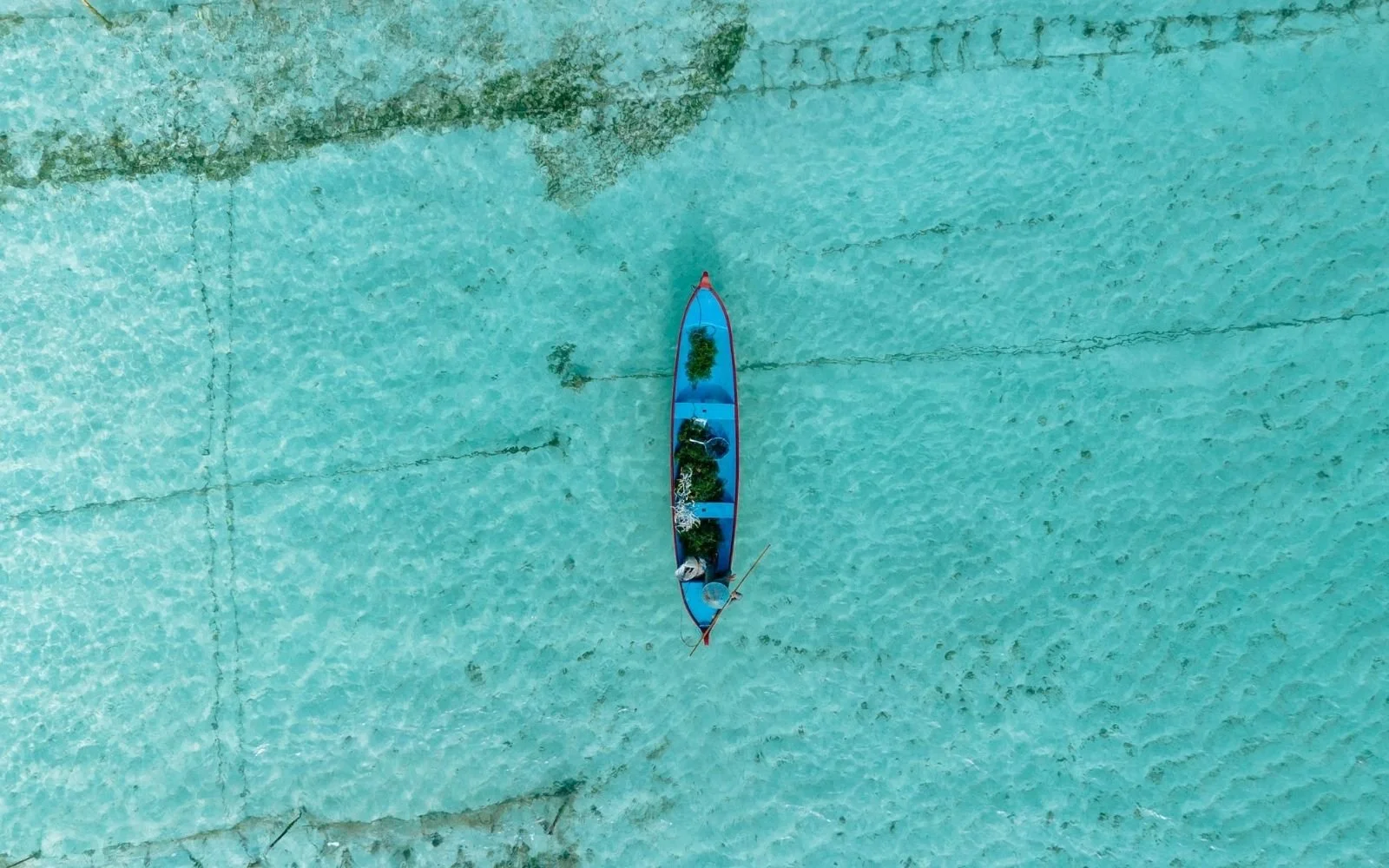 Traditional seaweed farming boat in Nusa Lembongan