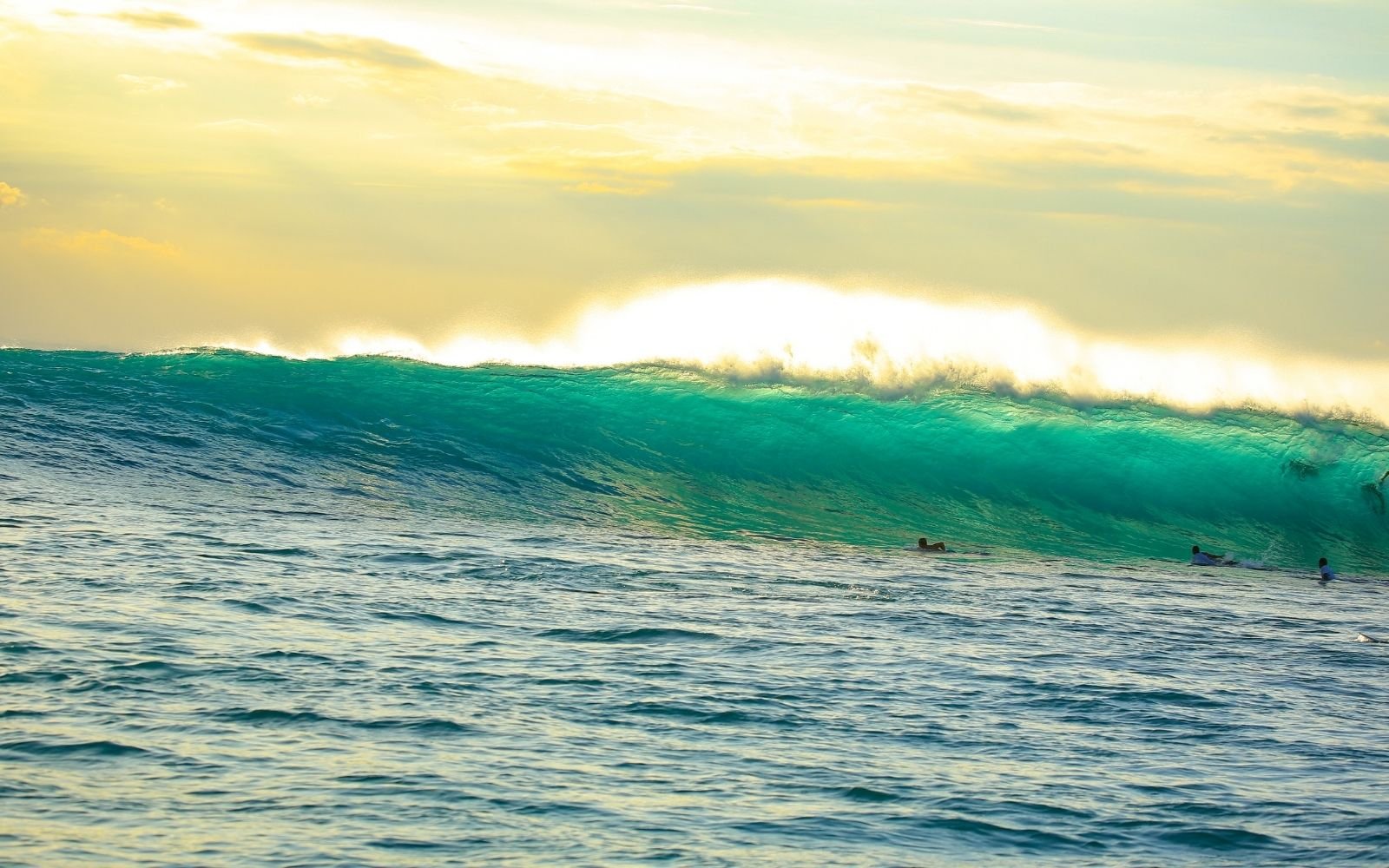 Surfers at Lacerations surf break
