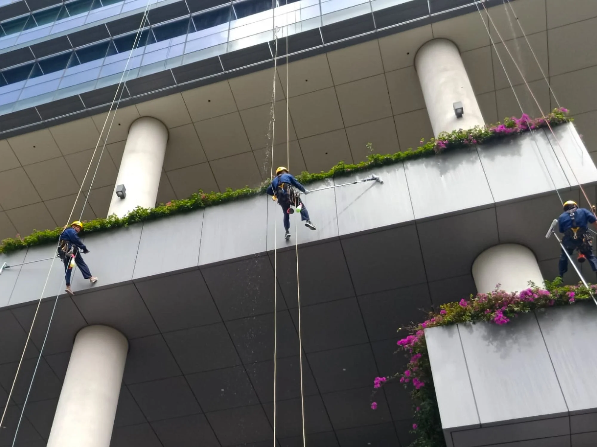 Professional abseiling team cleaning building facade in Brunei.